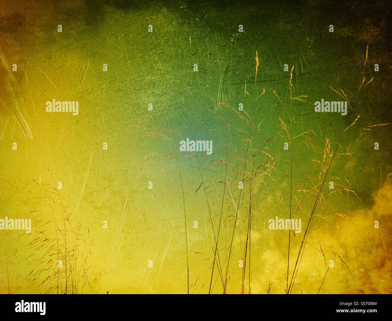 Climate Change - Smartphone-aufgenommenes Stockfoto