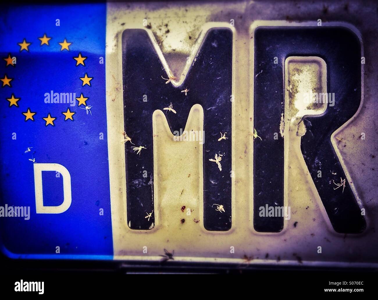 Deutschen Kfz-Kennzeichen. Herr Deutschland Fahrzeug Platte. Marburg-Biedenkopf, Hessse, Deutschland, Europa - Smartphone-aufgenommenes Stockfoto