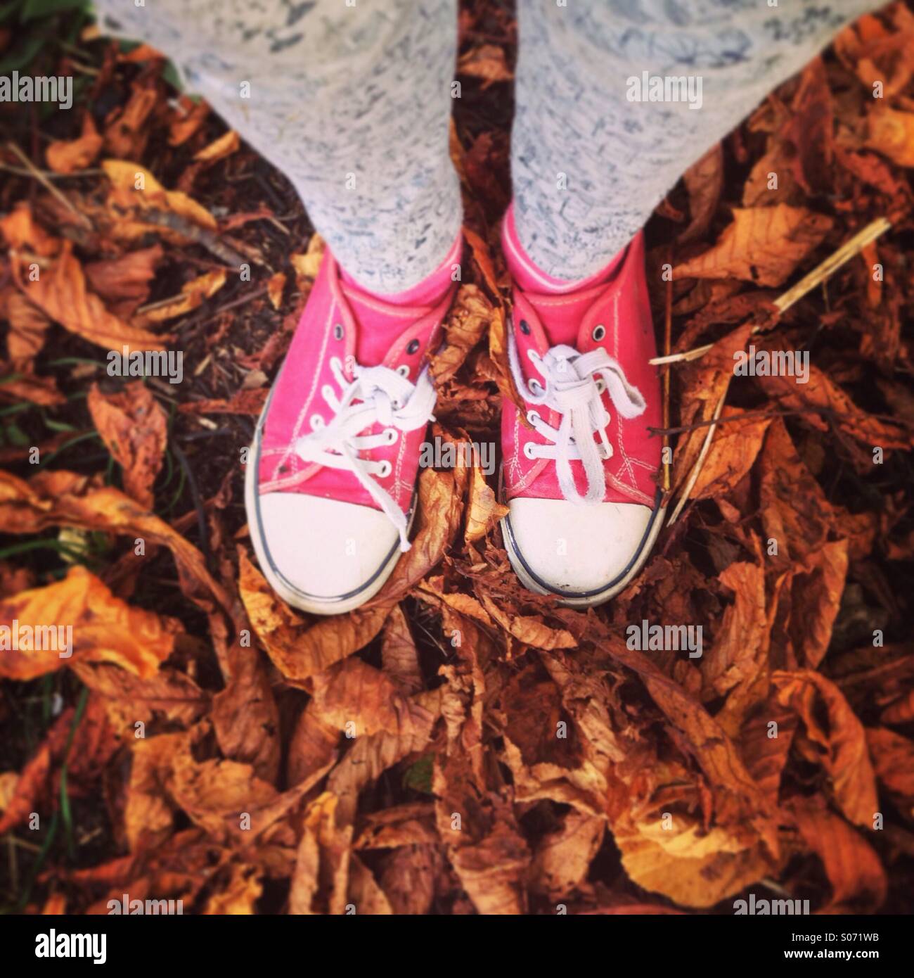Turnschuhe Stockfoto