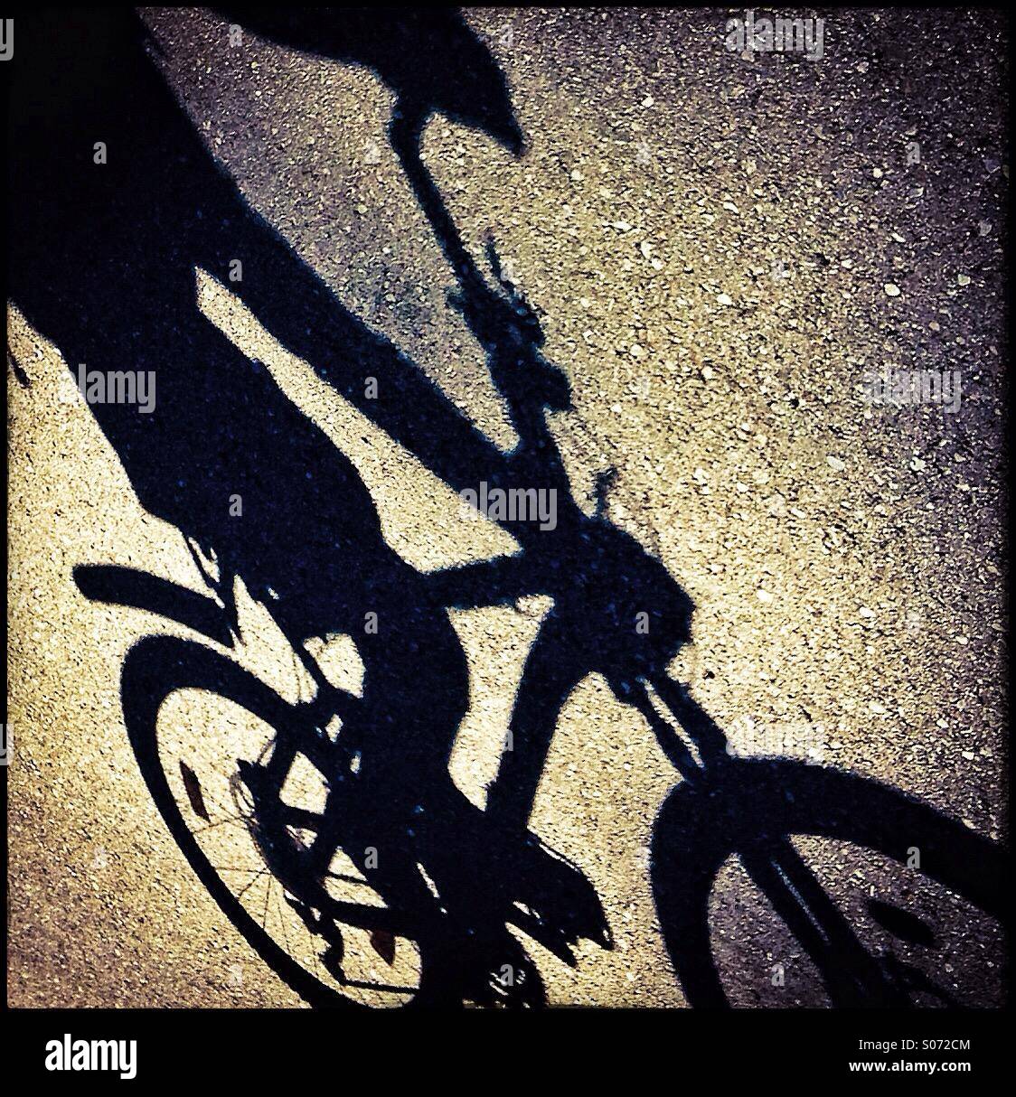 Schatten von einem Fahrrad auf einem Weg Stockfoto