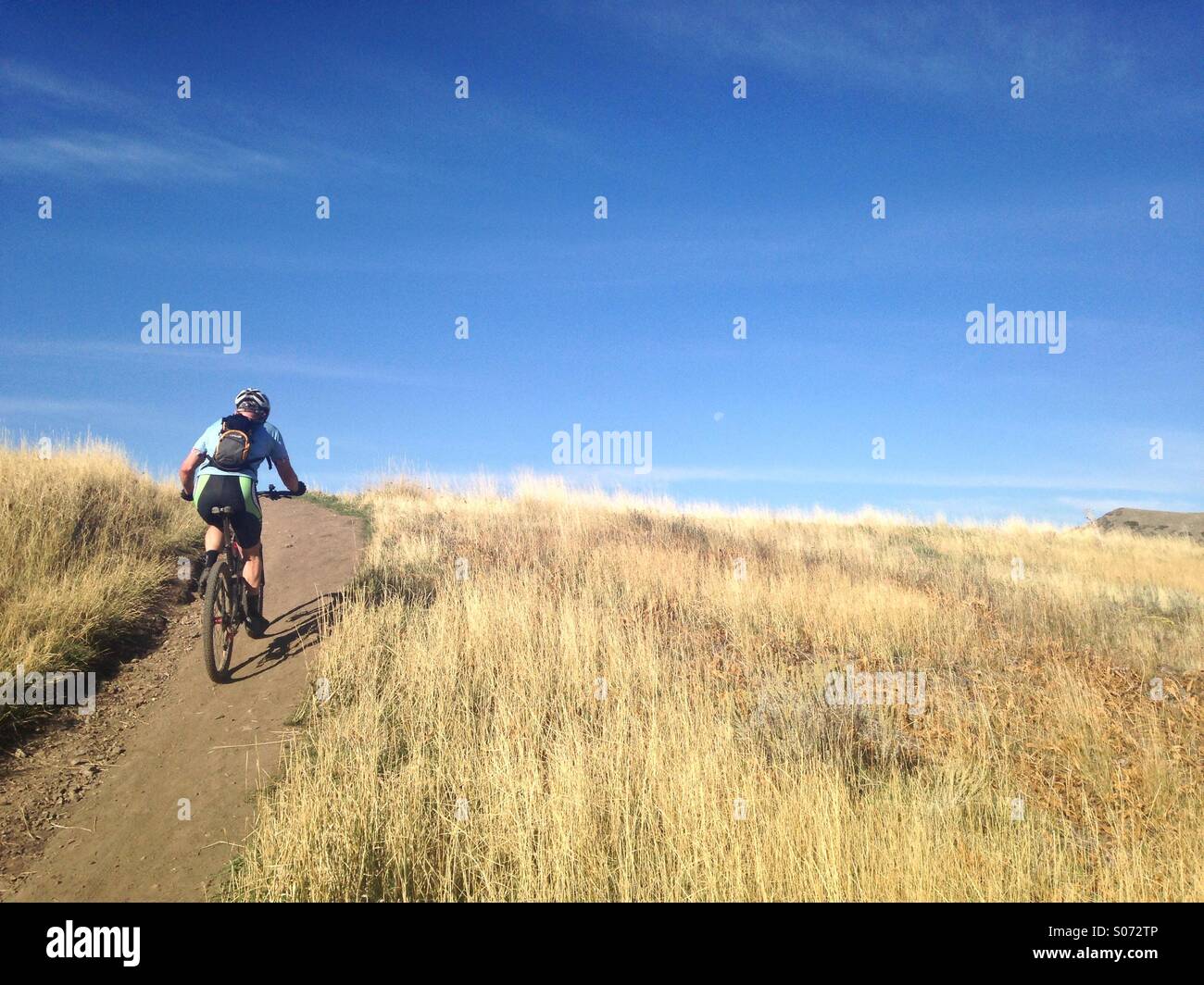 Ein Mountainbiker Kreuzfahrten entlang der Bonneville-Trail in den Wasatch Mountains von Salt Lake City, Utah. Stockfoto