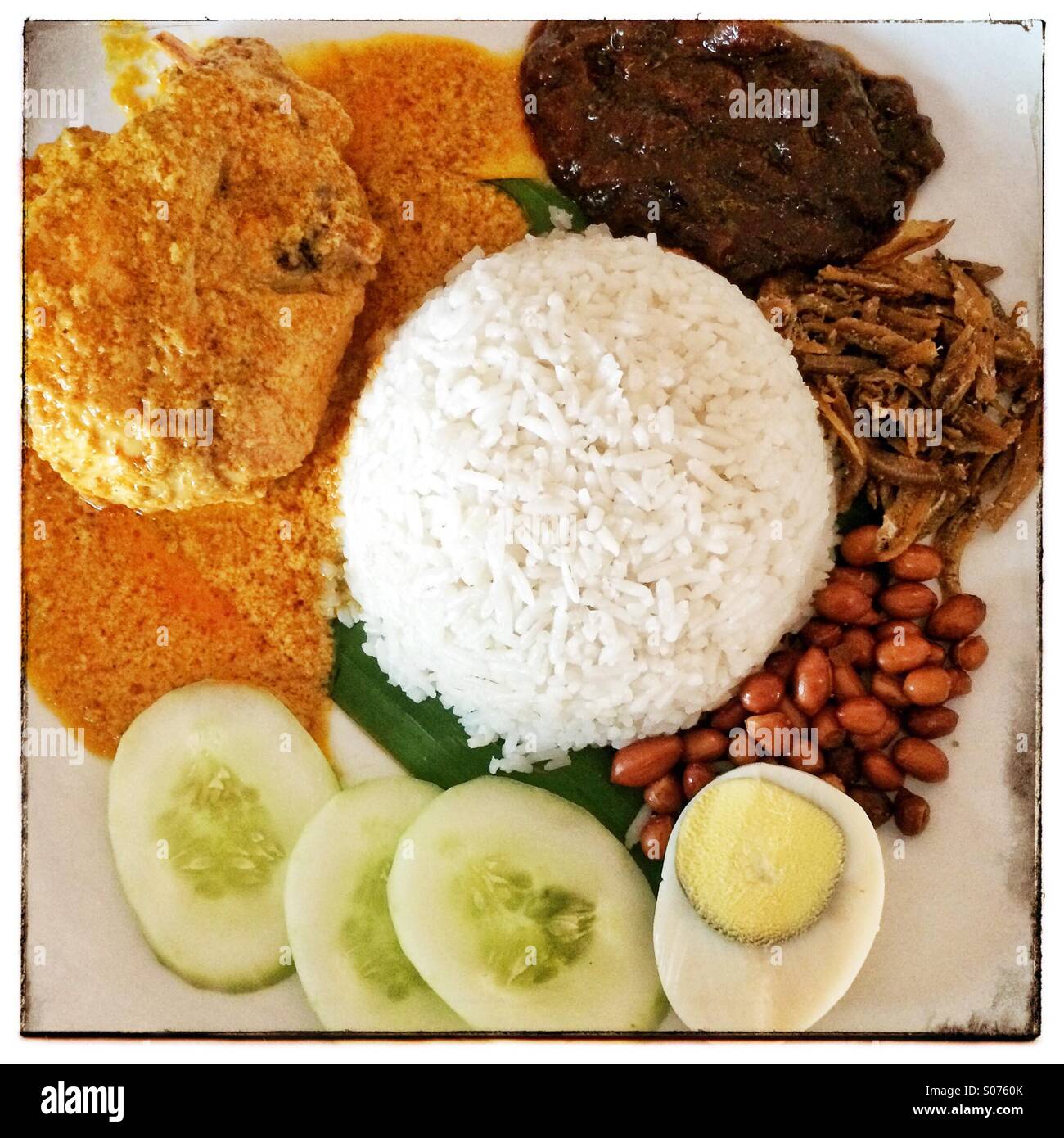 Malaysische Nasi Lemak Kokosreis mit Curry Huhn, Ei, gebratene Sardellen, Gurken, Erdnüssen und sambal Stockfoto