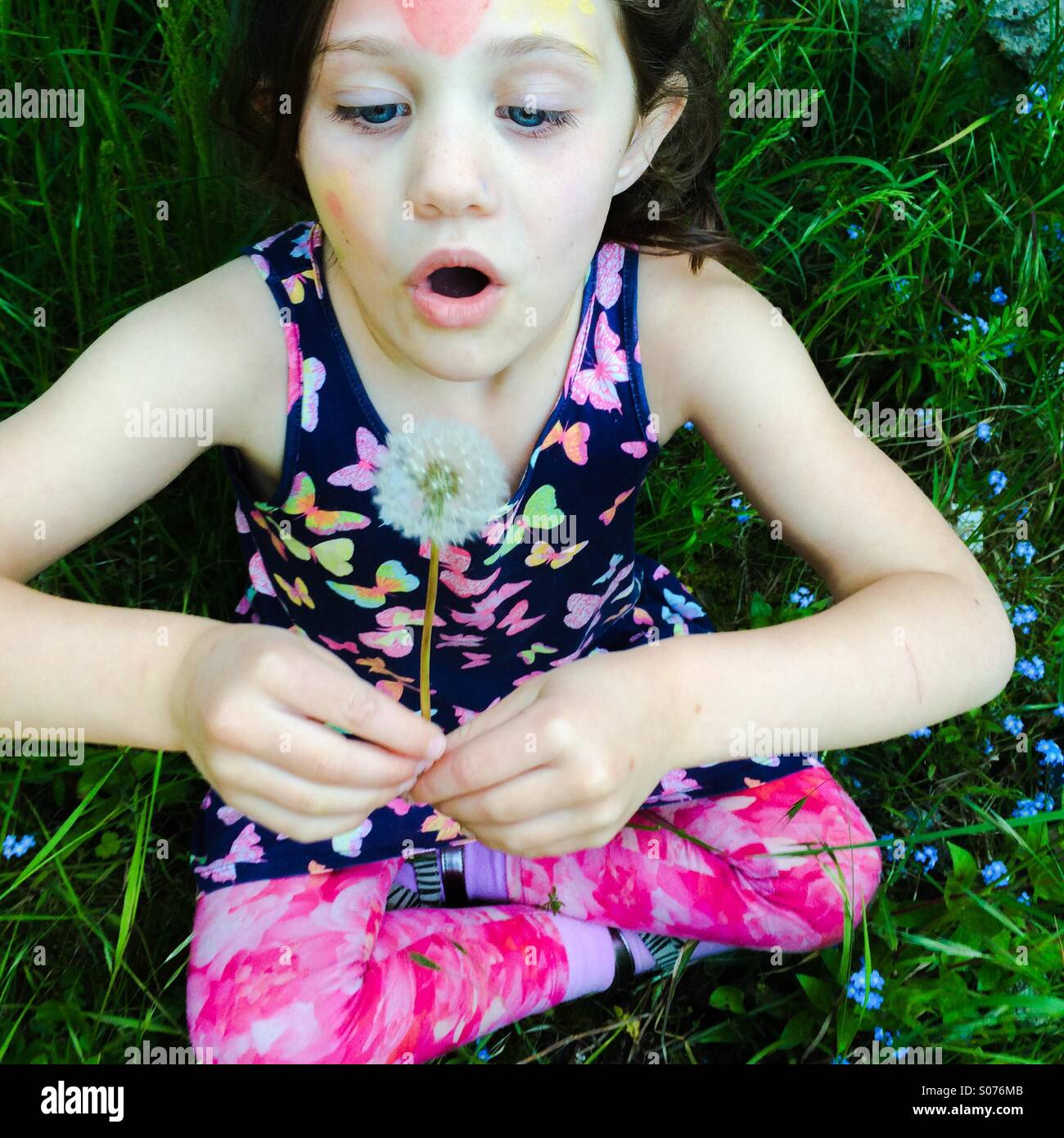 Fünf Jahre altes Mädchen bläst Löwenzahn Stockfoto