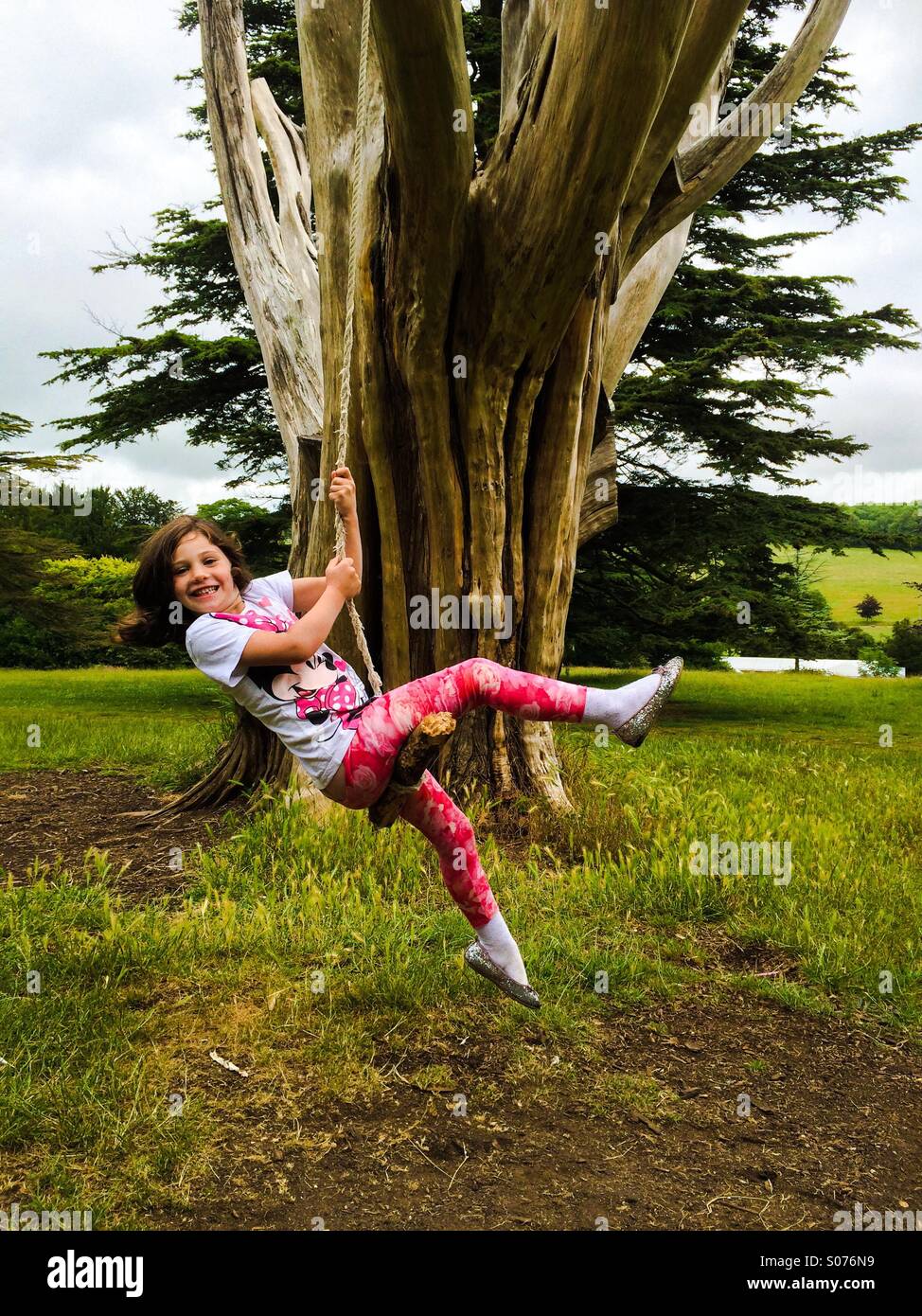 Fünf Jahre altes Mädchen auf Baum-Schaukel Stockfoto