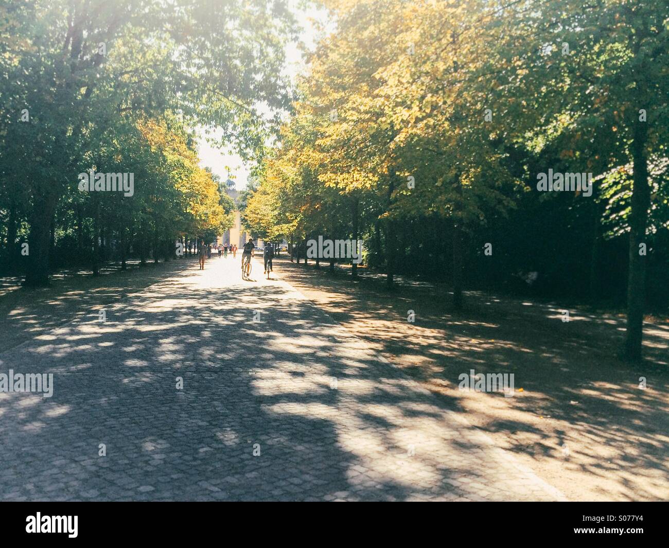 Radfahrer fahren durch Tiergarten, Berlin, im Sommer in Richtung Brandenburger Tor Stockfoto