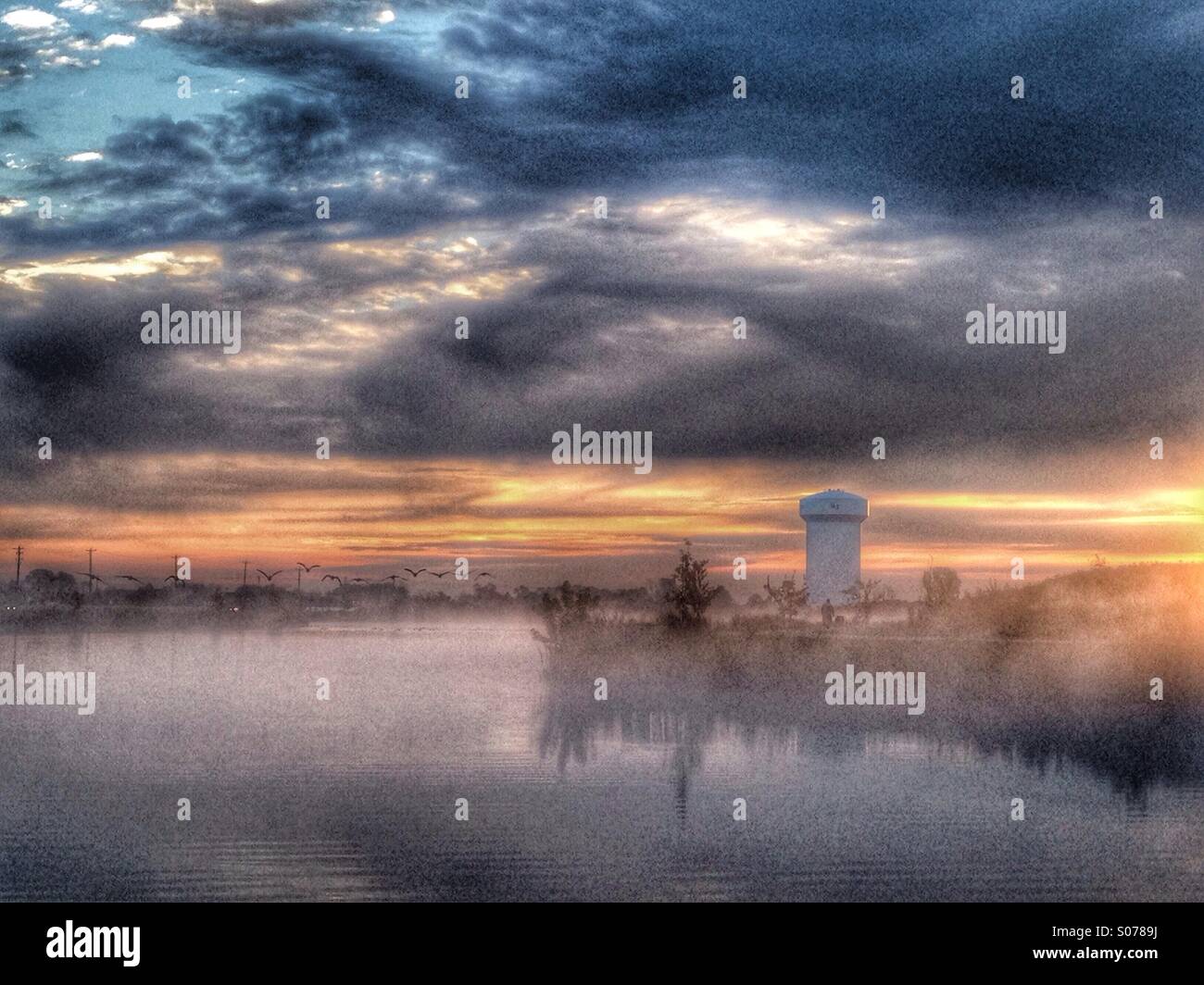 Ein nebeliger Morgen am See. - Smartphone-aufgenommenes Stockfoto