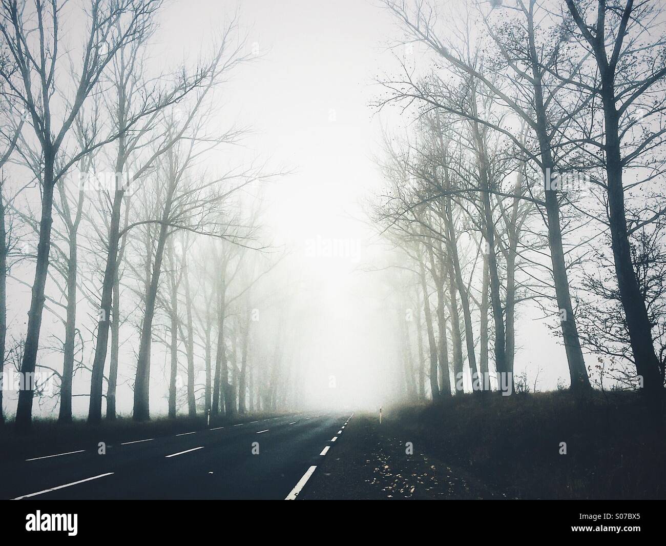 Jagd im Nebel auf der Reise zu meinen Kunden Stockfoto