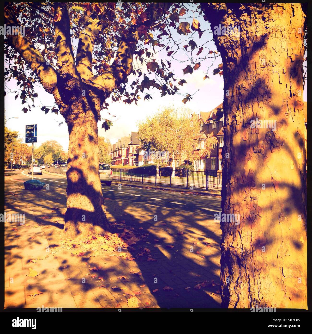 Herbst-Licht Stockfoto