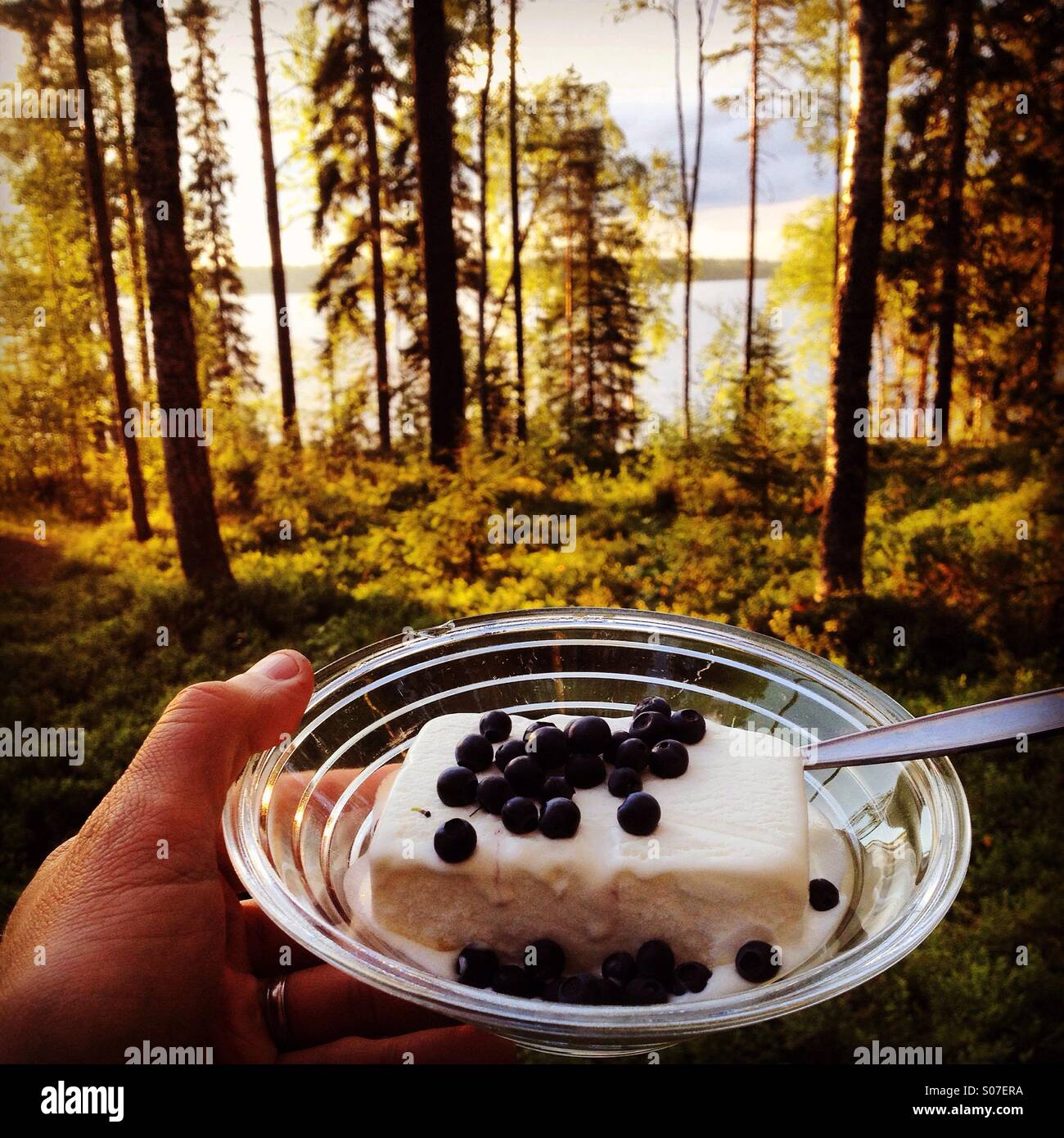 Frisch gesammelten Heidelbeeren aus einer nordischen See Sommerhaus Gesamtstruktur hinzugefügt, um ein Eis am Abend im Urlaub Stockfoto