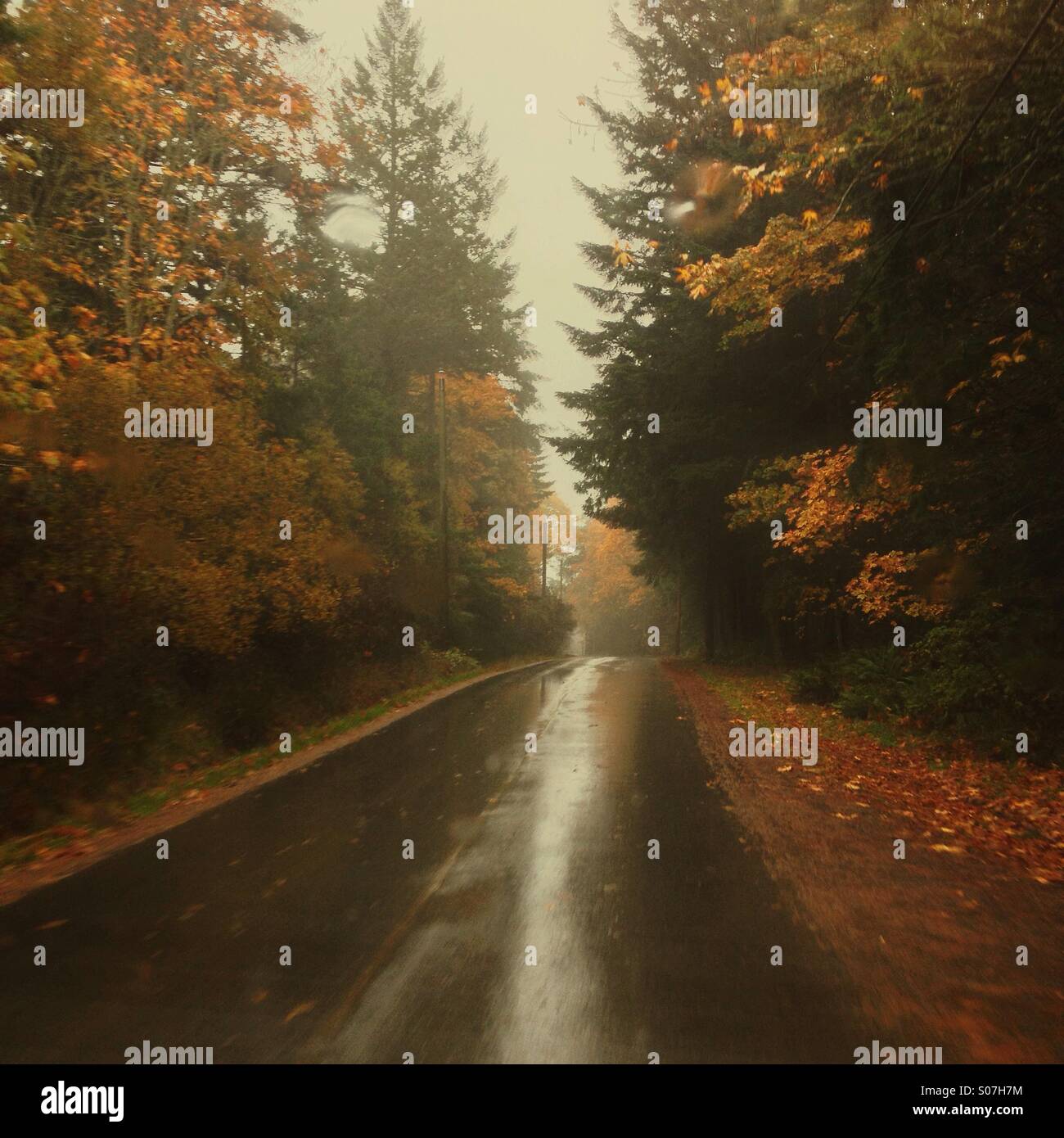 Bewegungsunschärfe Schuss fahren auf nassen Waldweg im Herbst. Stockfoto