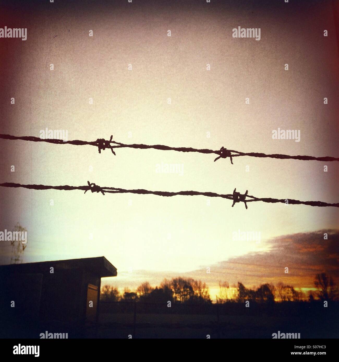 Silhouette der Stacheldraht gegen Morgenhimmel - Smartphone-aufgenommenes Stockfoto