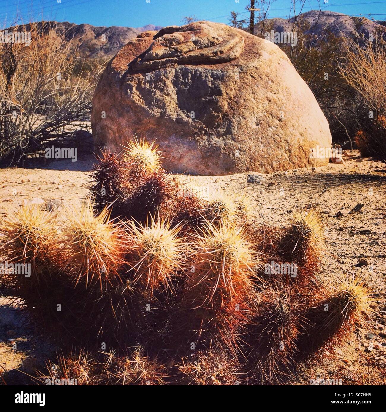 Desert rock Stockfoto
