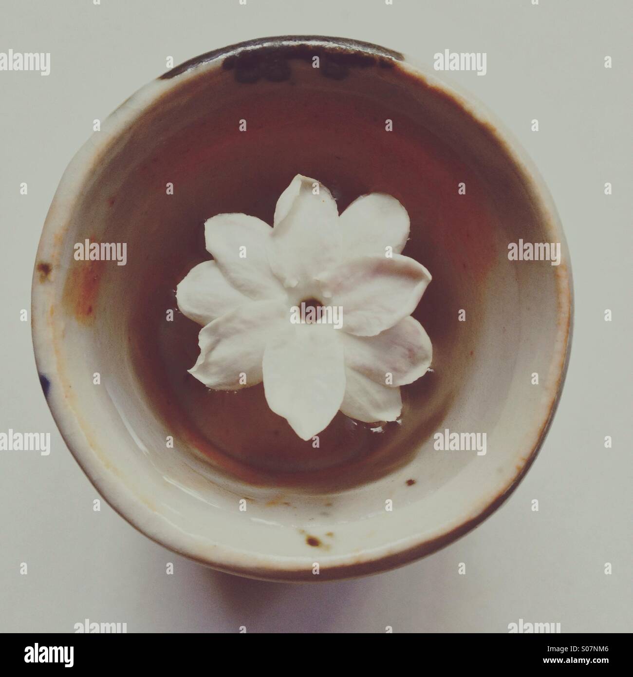 Minimalistische Foto der Jasminblüte schwebend in winzigen Keramik Handarbeit Tasse Stockfoto