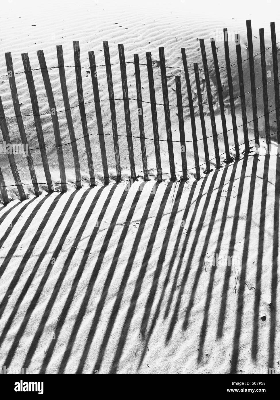 Starke Schatten von einem Zaun aus Holz Strand in einer Sanddüne, in Fett schwarz und weiß. Golfküste, Florida, USA. Stockfoto