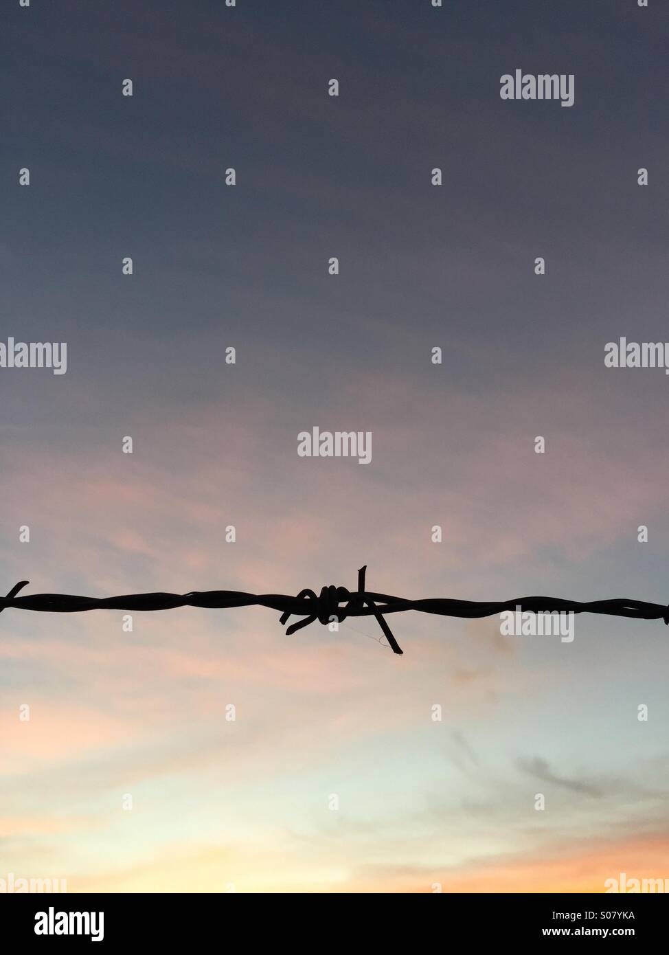 Silhouette der Barbwire bei Sonnenuntergang - Smartphone-aufgenommenes Stockfoto