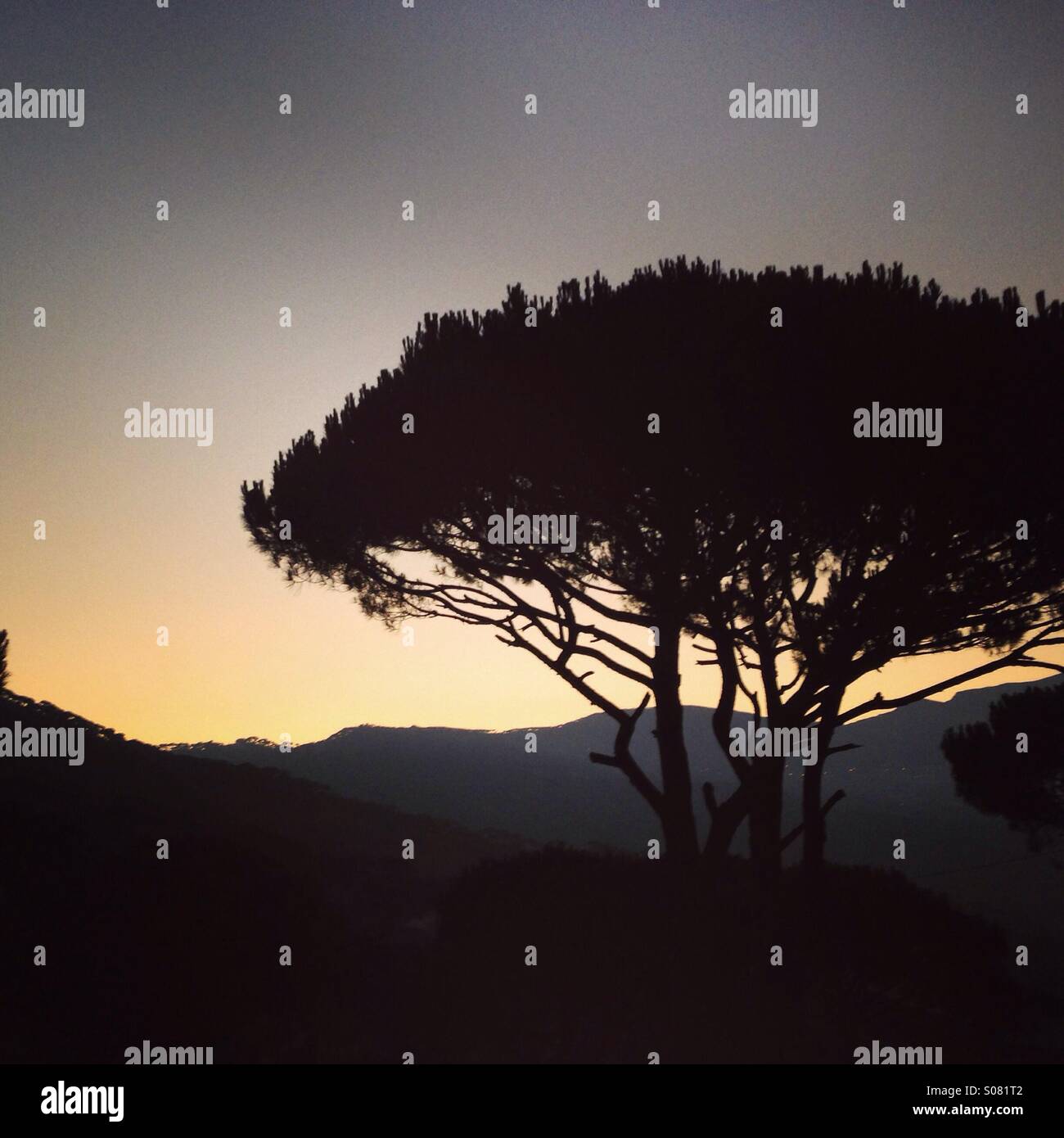 Sonnenaufgang hinter den Bergen - Smartphone-aufgenommenes Stockfoto