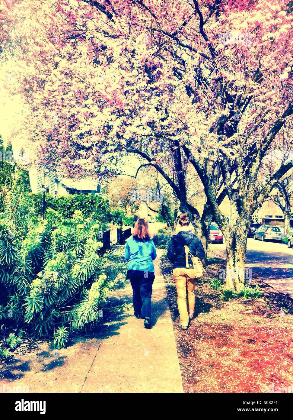 Zwei Frauen gehen auf Bürgersteig im Frühling Stockfoto