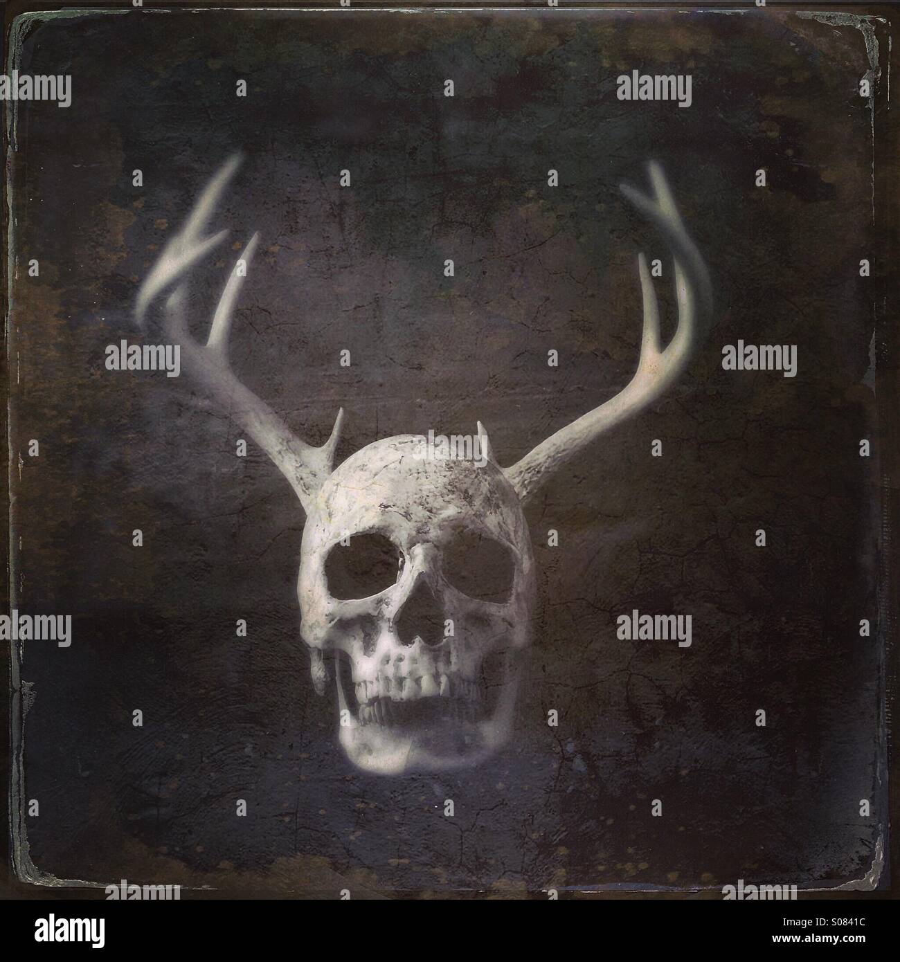 Menschlicher Schädel mit Hörnern. - Smartphone-aufgenommenes Stockfoto