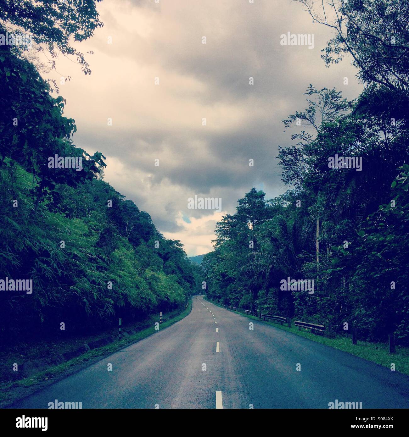 Eine einsame Straße mitten im tropischen Dschungel. - Smartphone-aufgenommenes Stockfoto