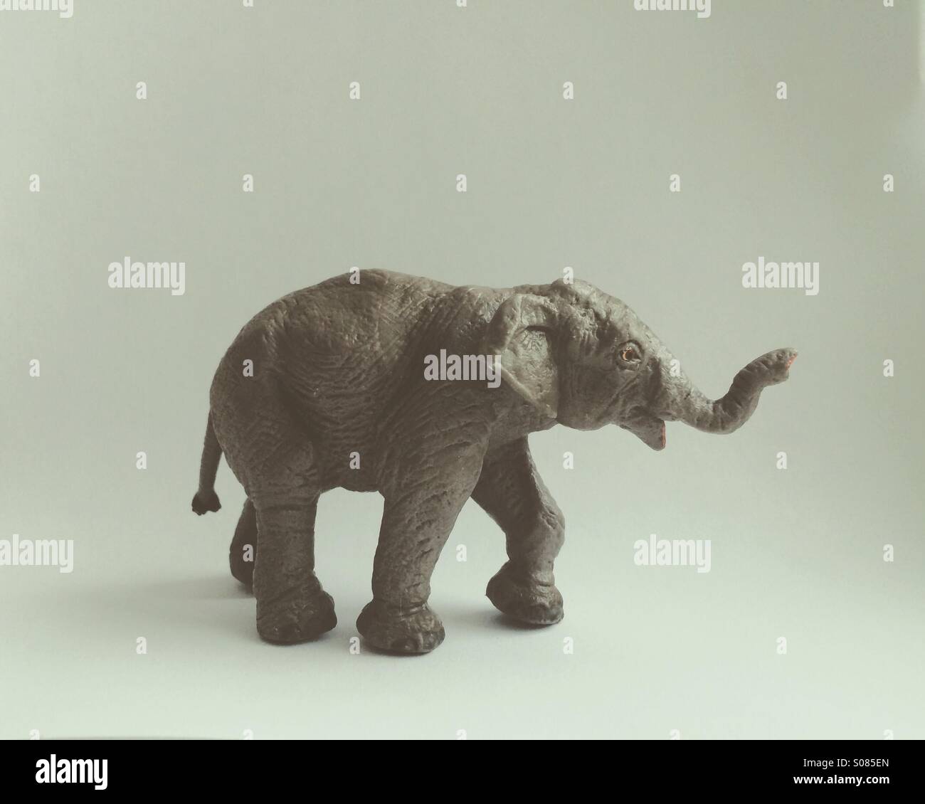 Elefanten Spielzeug Stockfoto