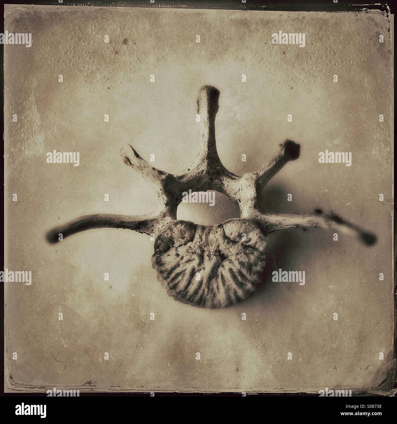 Wirbel - Smartphone-aufgenommenes Stockfoto