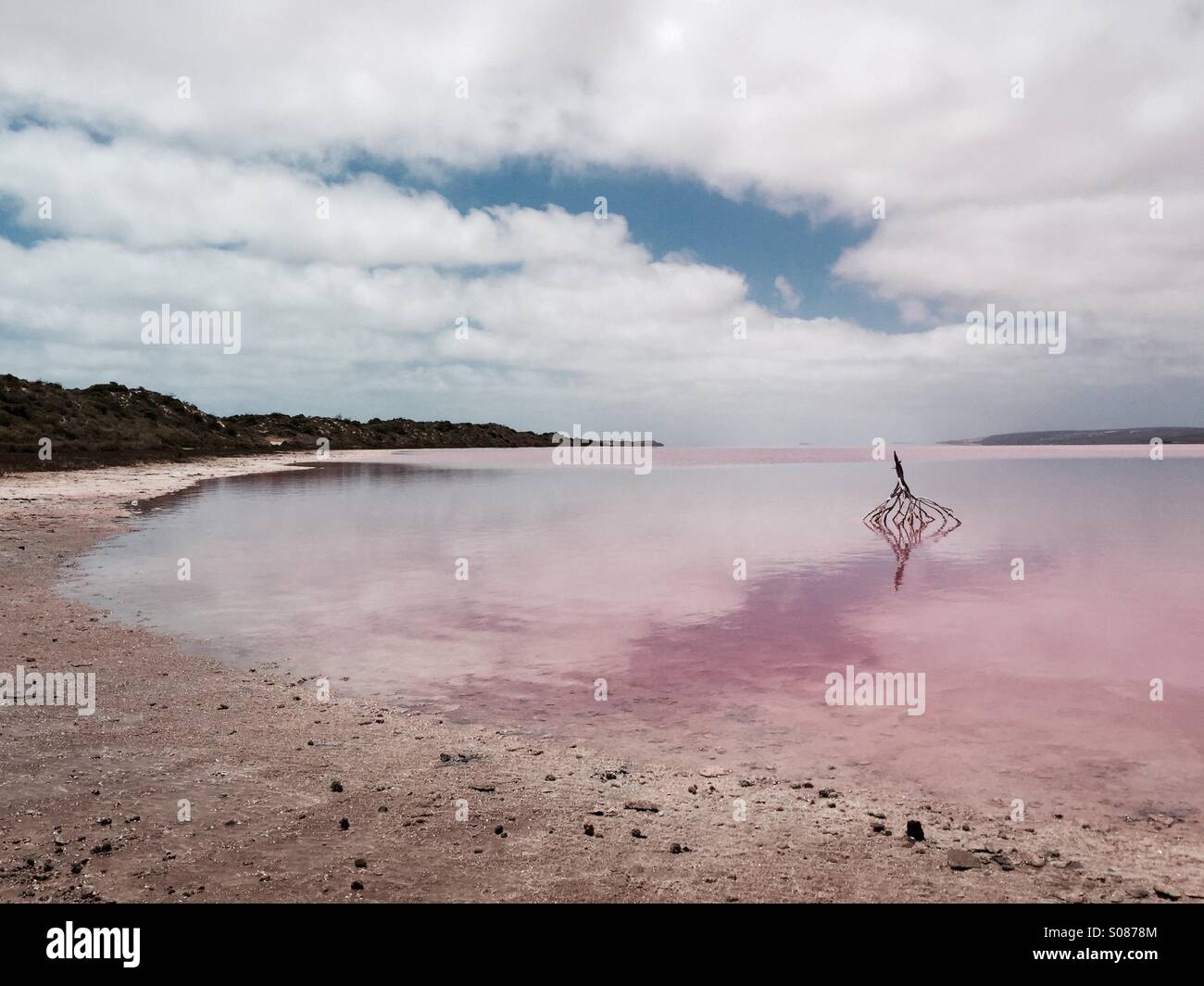 Hutt Lagune, rosa farbigen Salzsee in der Nähe von Port Gregory, Western Australia Stockfoto