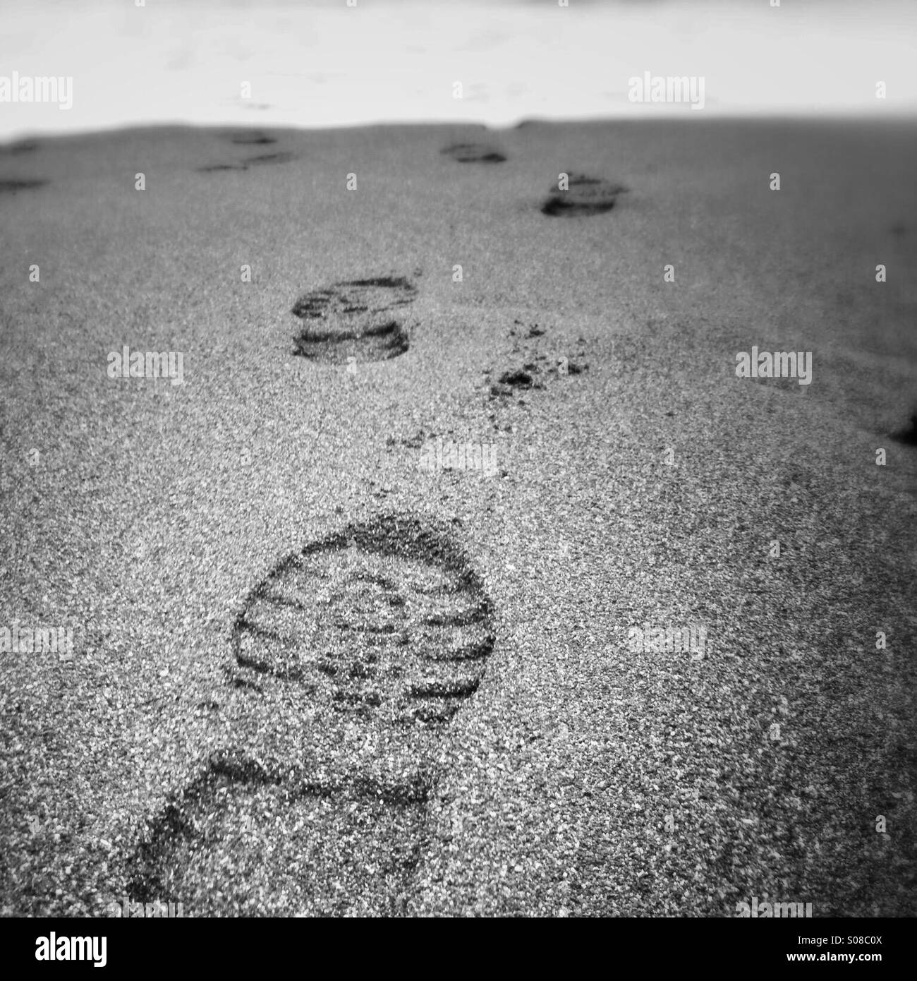 Fußspuren im Sand bis zum Meer führt Stockfoto