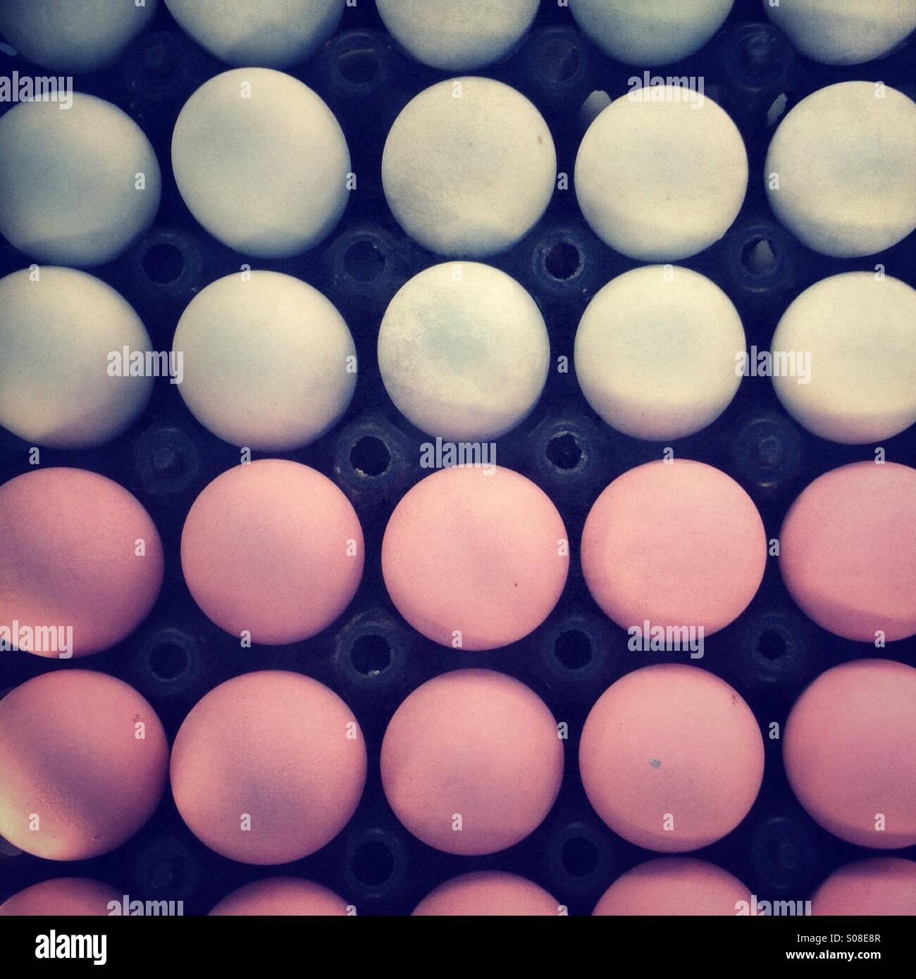 Eiern - Smartphone-aufgenommenes Stockfoto