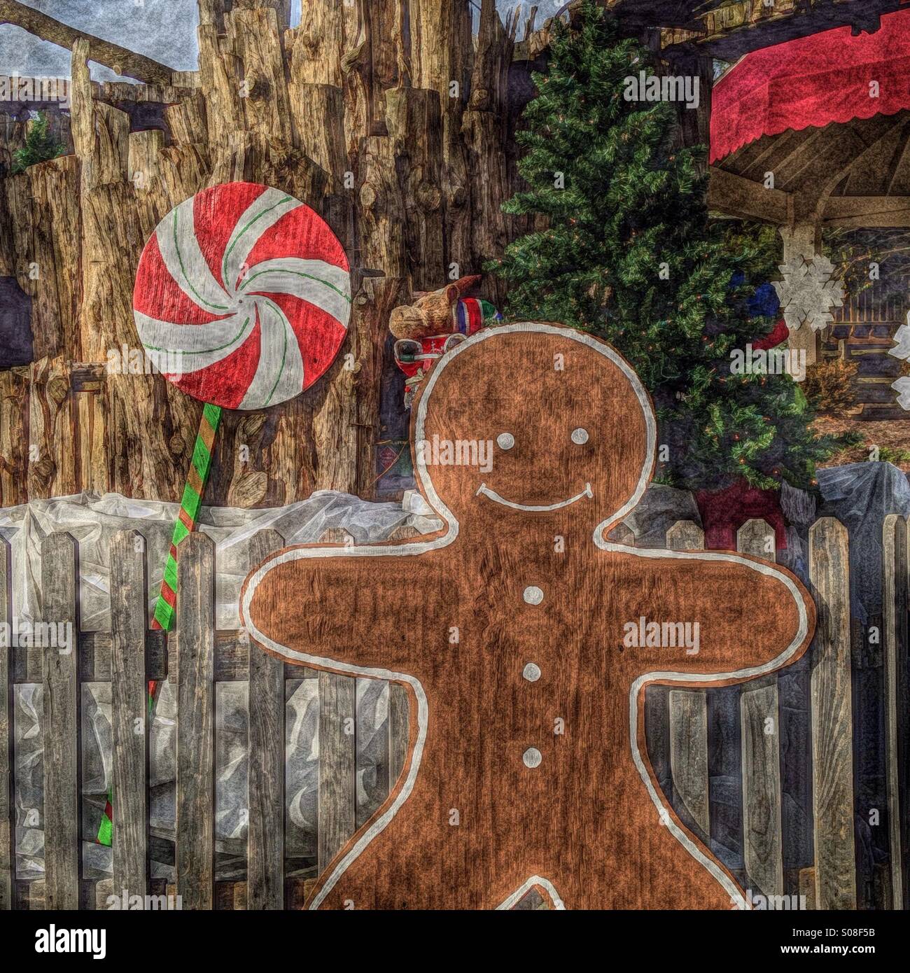 Ein Lebkuchenmann und Lutscher in einem Weihnachts-Display. Stockfoto