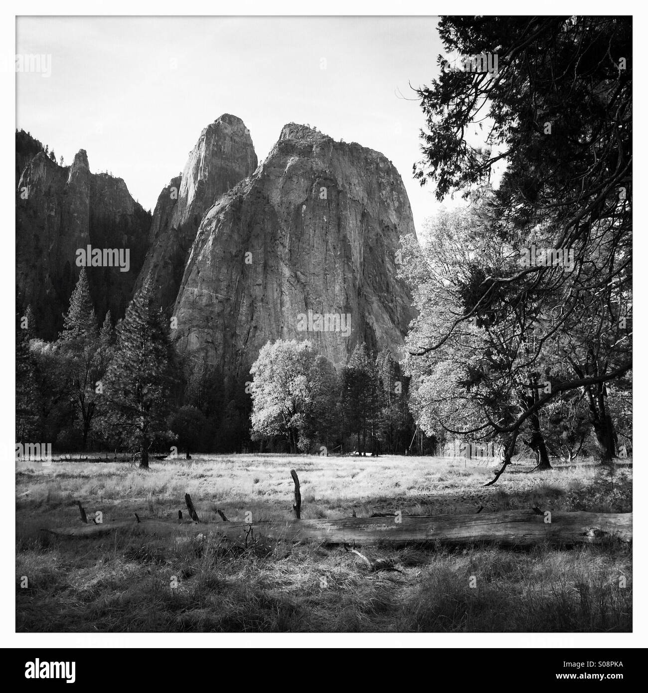 Cathedral Rocks, Wiese und Bäume im Herbst. Yosemite Valley, Yosemite-Nationalpark, Mariposa County, Kalifornien, USA Stockfoto