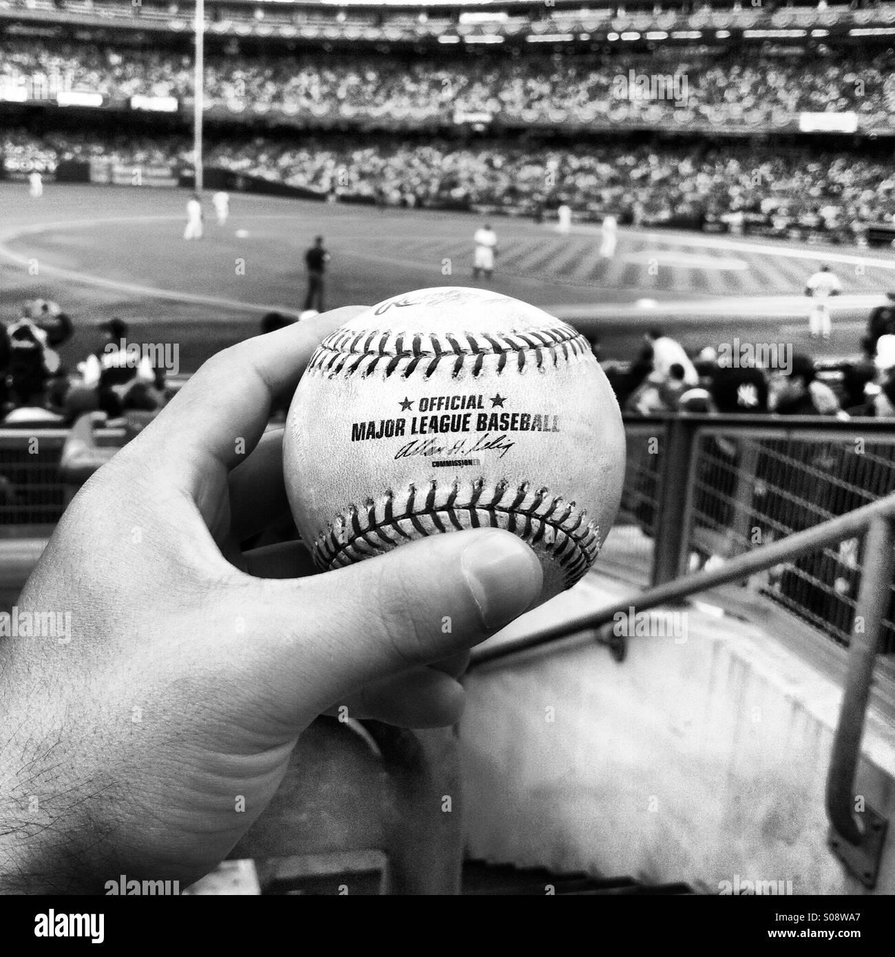 Foul Ball im Yankee Stadium in der Bronx, NYC Stockfoto