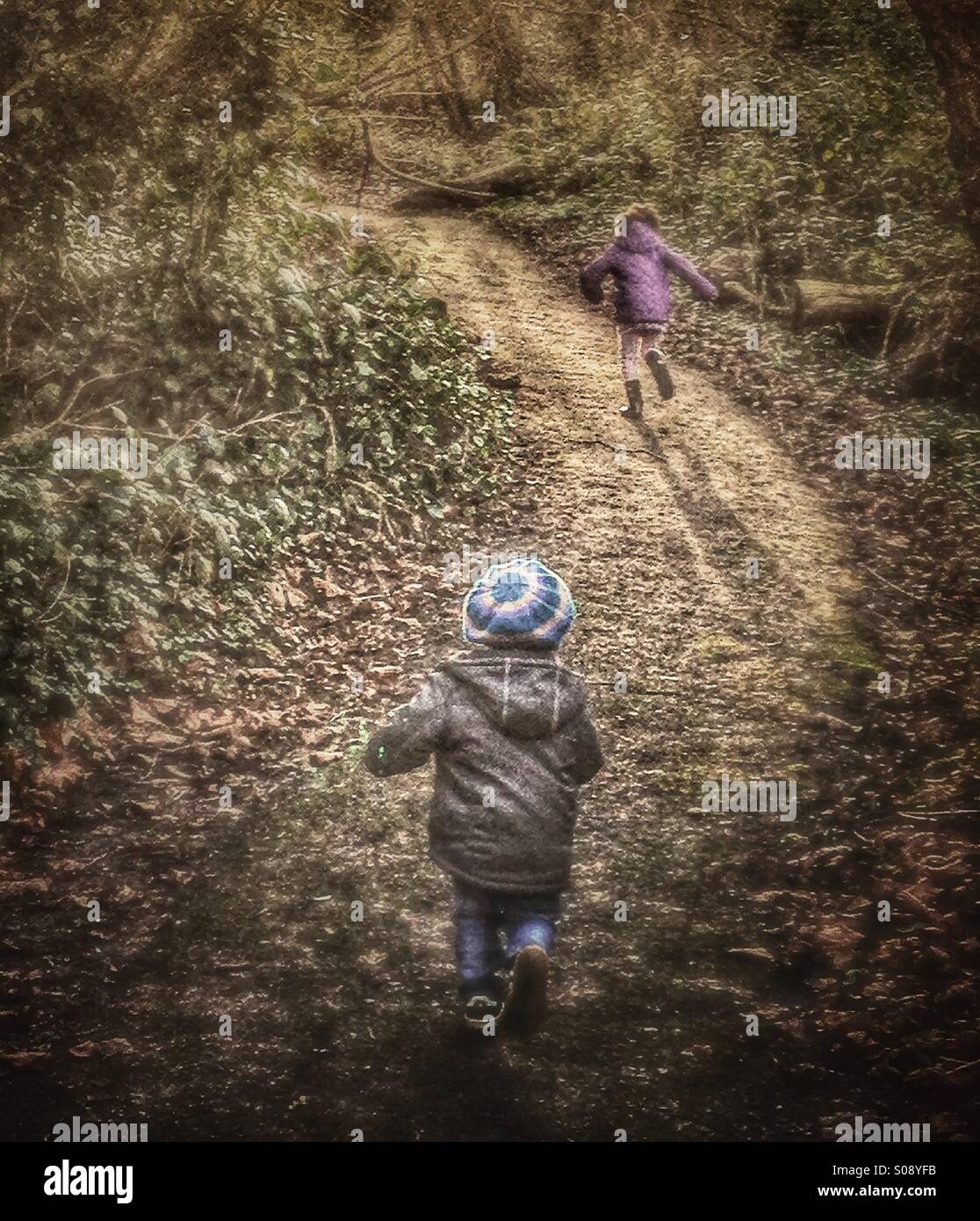 Kinder spielen im Wald Stockfoto