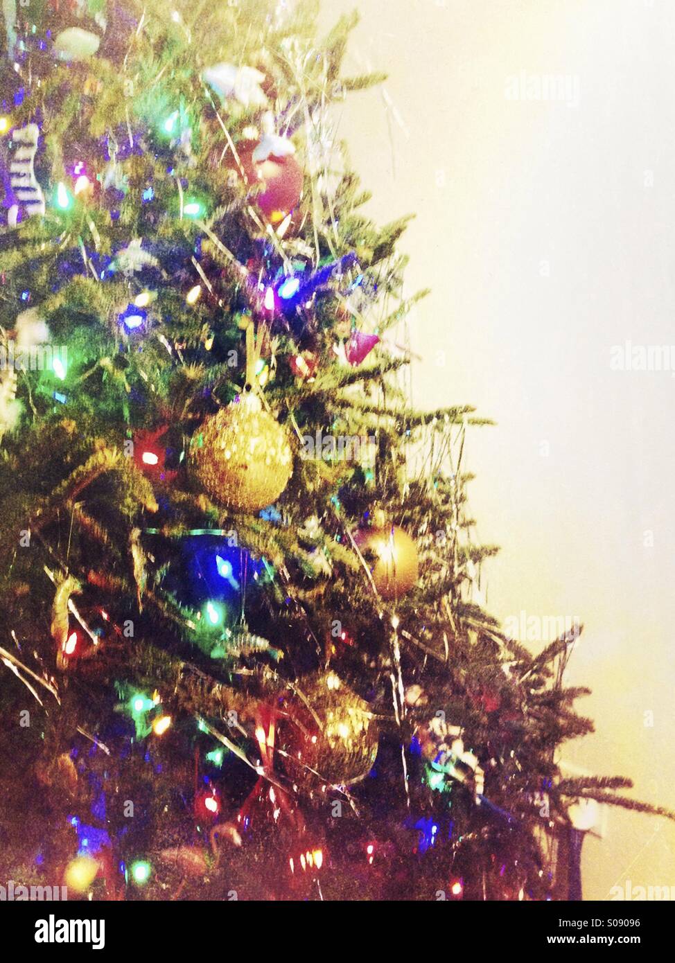 Ein Weihnachtsbaum. Stockfoto