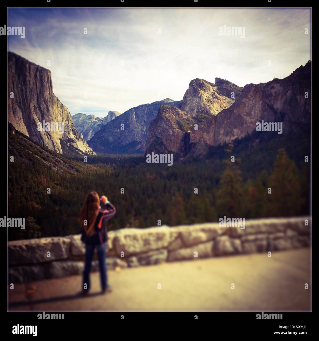 Ein 11 Jahres altes Mädchen nimmt Bilder des Yosemite Valley im berühmten Tunnel View Vista Wawona unterwegs. Yosemite-Nationalpark, Mariposa County, Kalifornien, USA Stockfoto