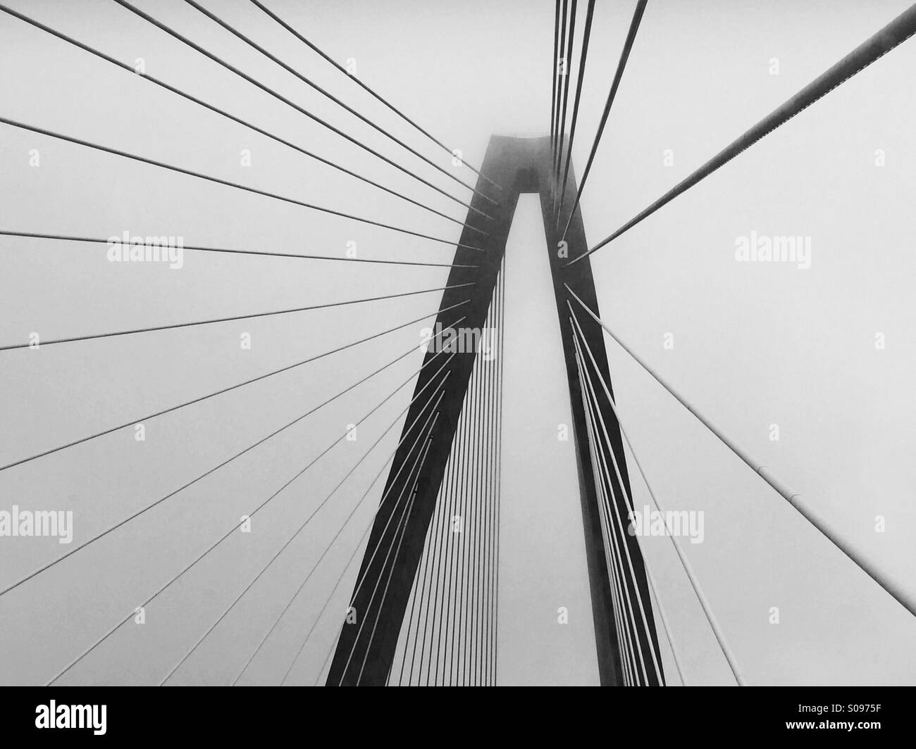 Unterstützungsstrukturen für die Ravenel Bridge in Charleston South Carolina ist auf diesem Foto ersichtlich. Stockfoto