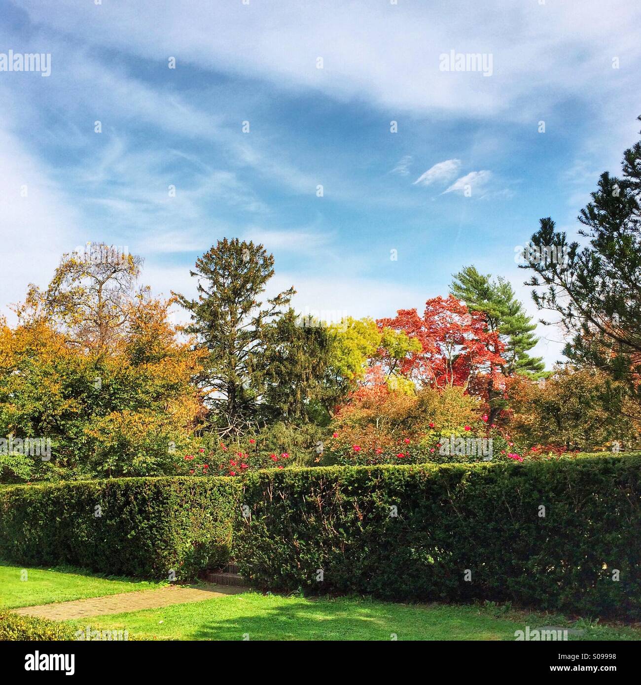 Natur in seiner schönsten Form auf das Nassau County Museum of Art in Roslyn, New York