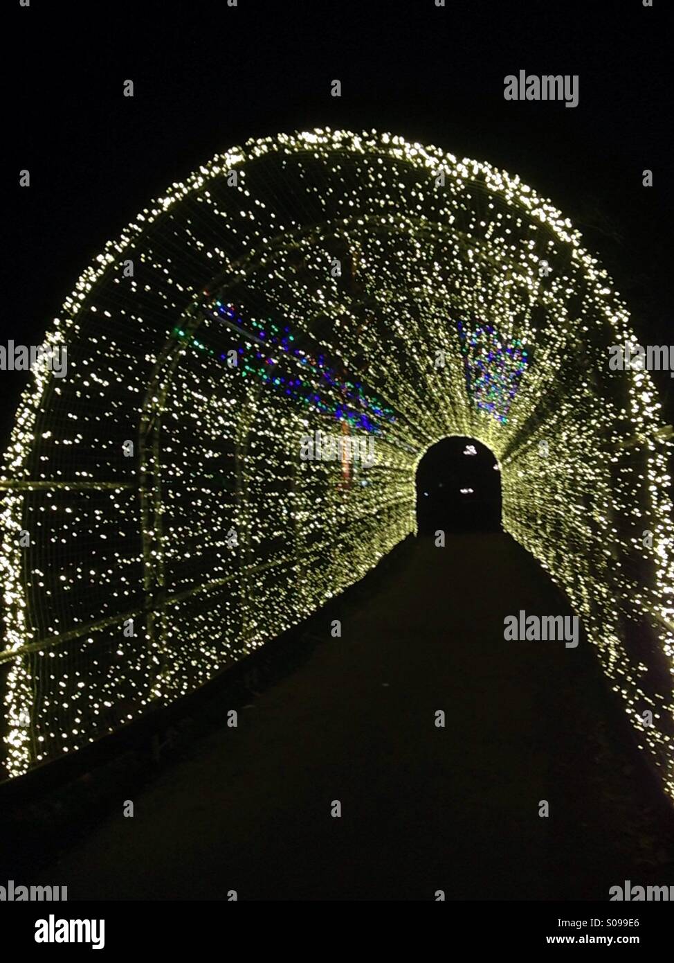 Weihnachten in Kew Stockfoto