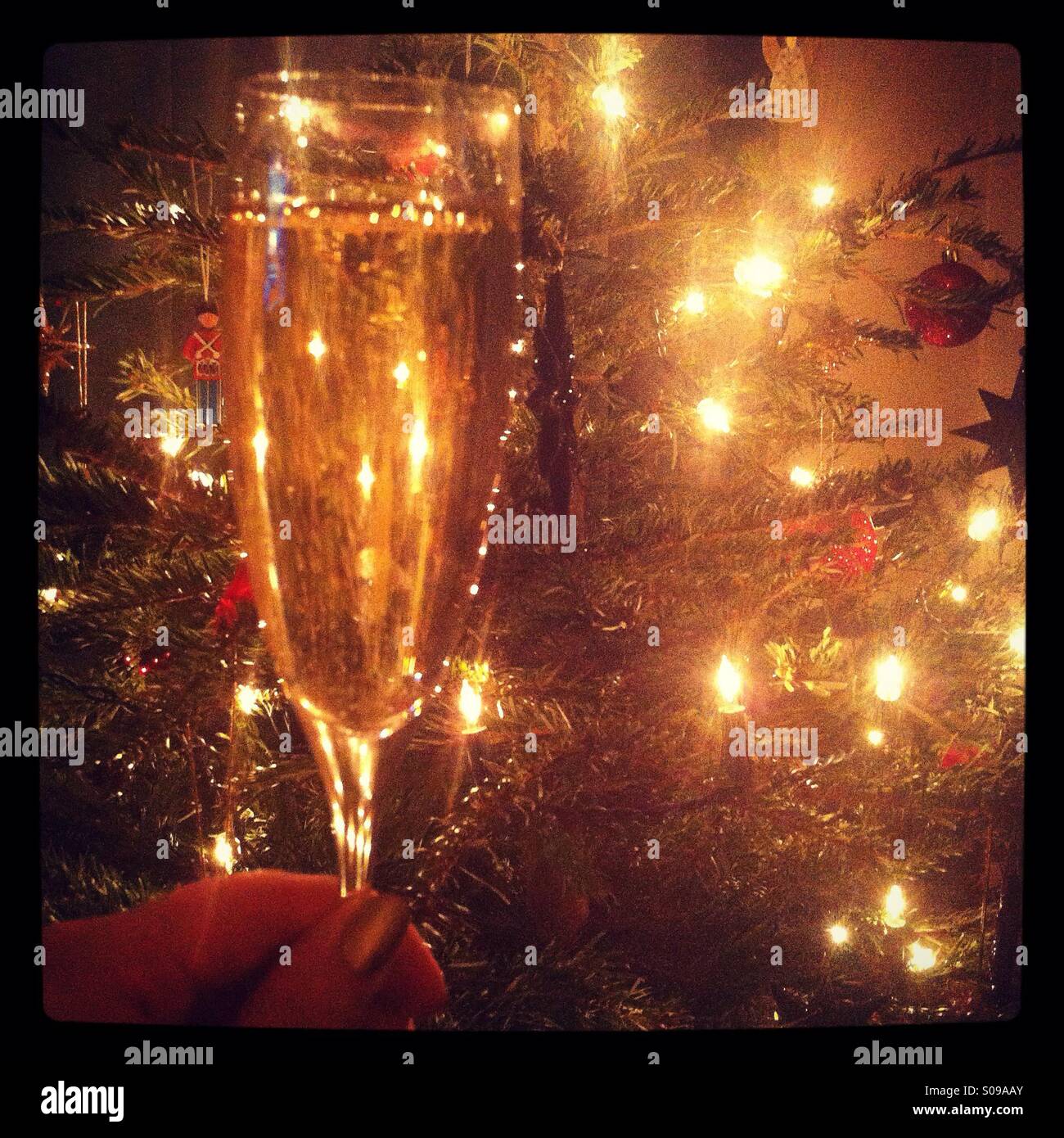 Champagner eine Flöte vor einem Weihnachtsbaum Stockfoto