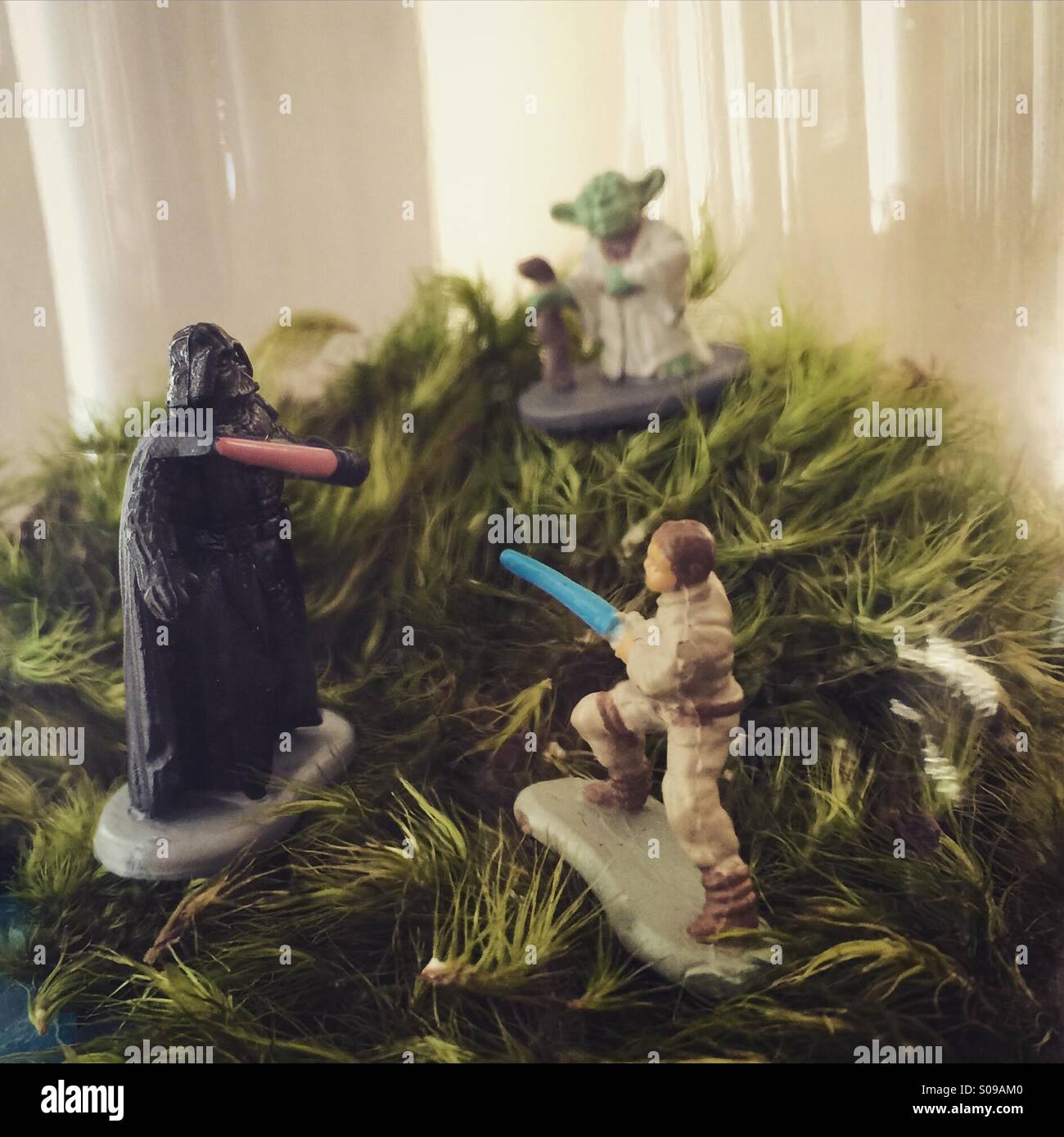 Star Wars-Charaktere in einem Terrarium Moos - Darth Vader, Luke Sky Walker und Yoda, komplett mit Licht Säbel Stockfoto