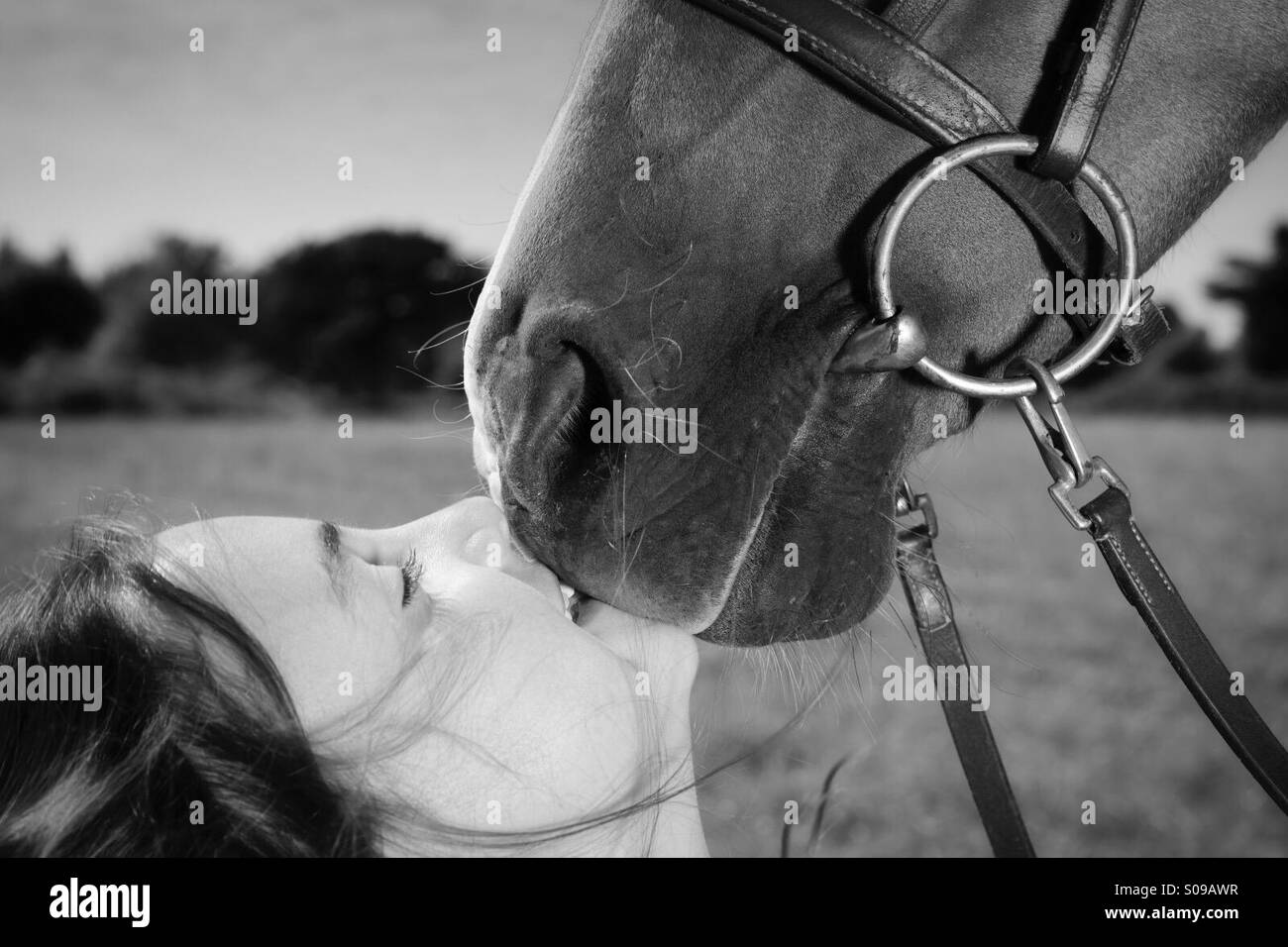 Ein junges Mädchen küssen ihr Pony. Stockfoto