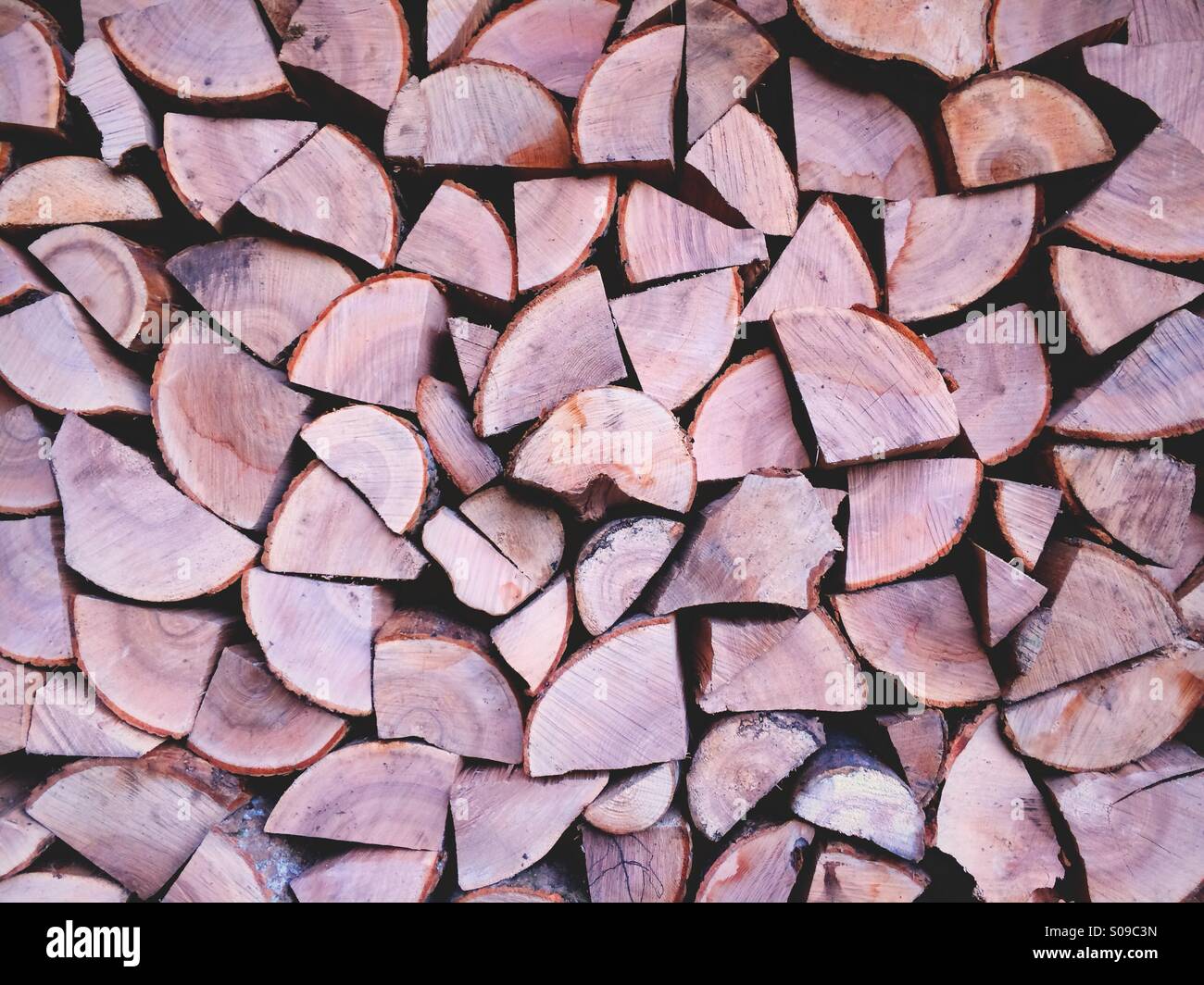 Ein Stapel von erfahrenen Laubstammholz. Stockfoto