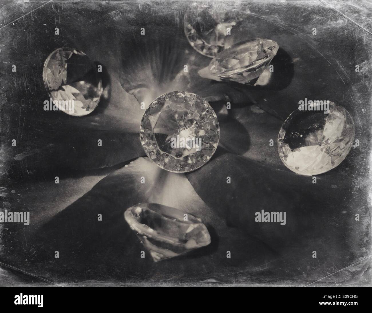 Glas-Diamanten auf Rosenblättern Stockfoto