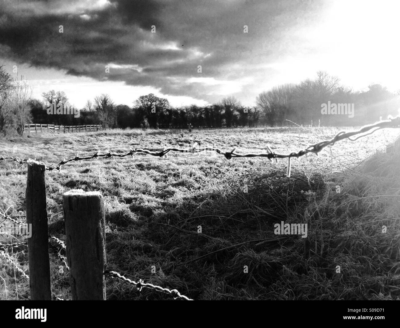 Stacheldrahtzaun, Winter in Womersley, North Yorkshire, Nordengland Stockfoto