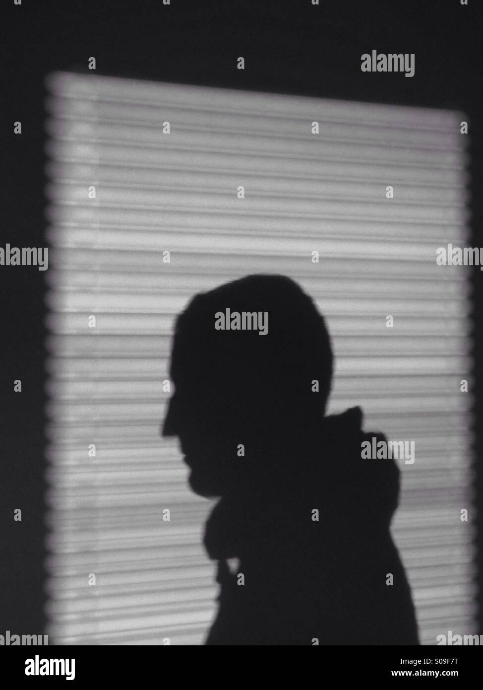Schatten-Silhouette des Mannes & Fenster Jalousien Stockfoto
