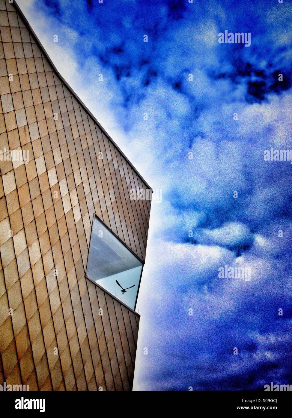 Goldene Hochzeitskapelle auf Blackpool (Festspielhaus) mit Möwe fliegen Stockfoto
