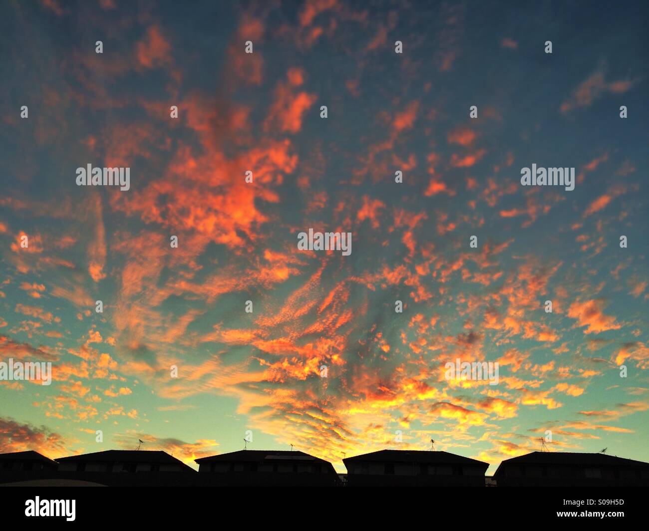 Sonnenuntergang über Vorstadt. Eine Reihe von identischen Vorstadthäuser in Australien in der Silhouette gegen einen flammenden Sonnenuntergang Stockfoto
