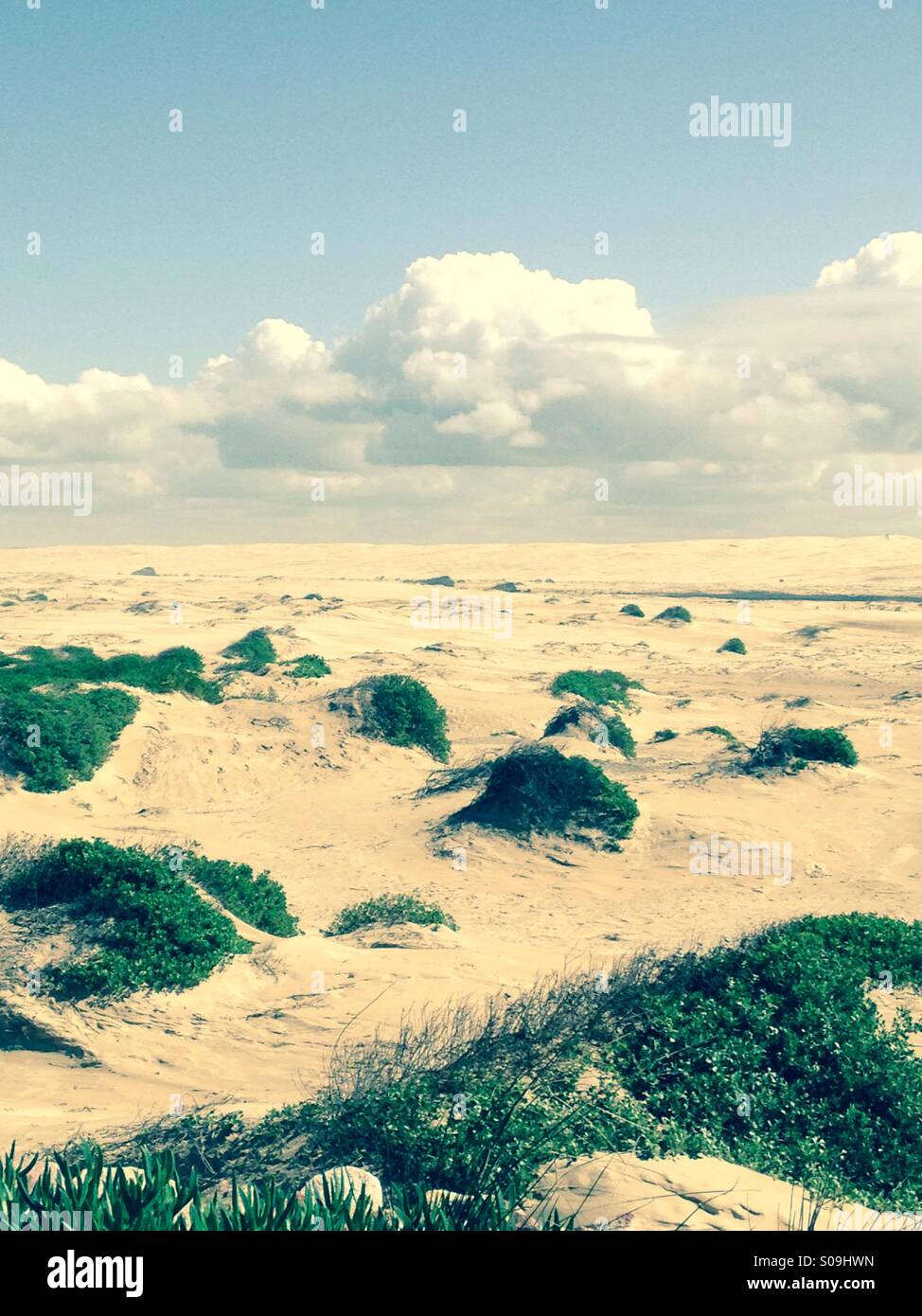 Stockton Beach Sand Dunes Stockfoto