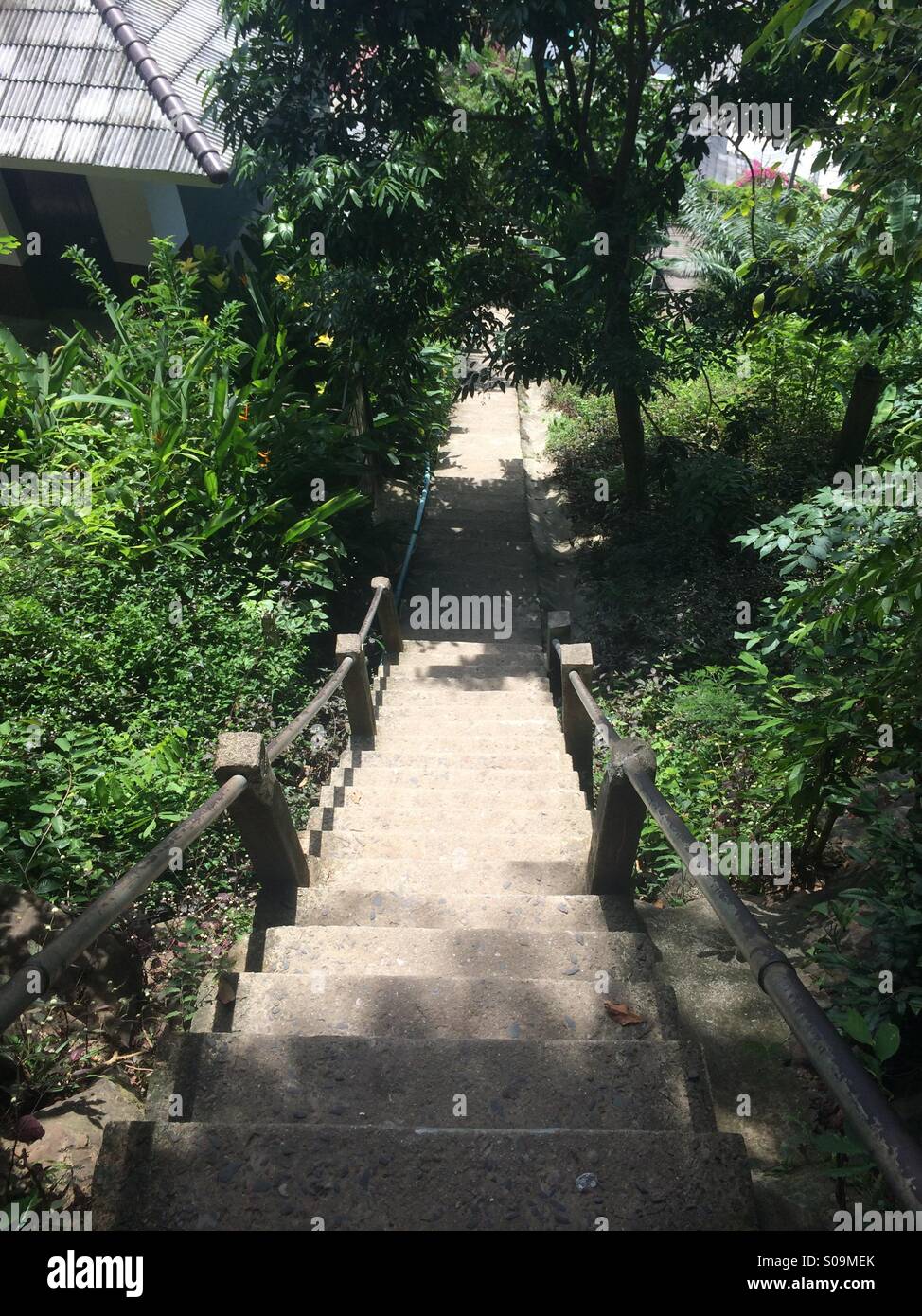 Treppe zum Himmel auf Kho Phi Phi Island in Thailand Stockfoto