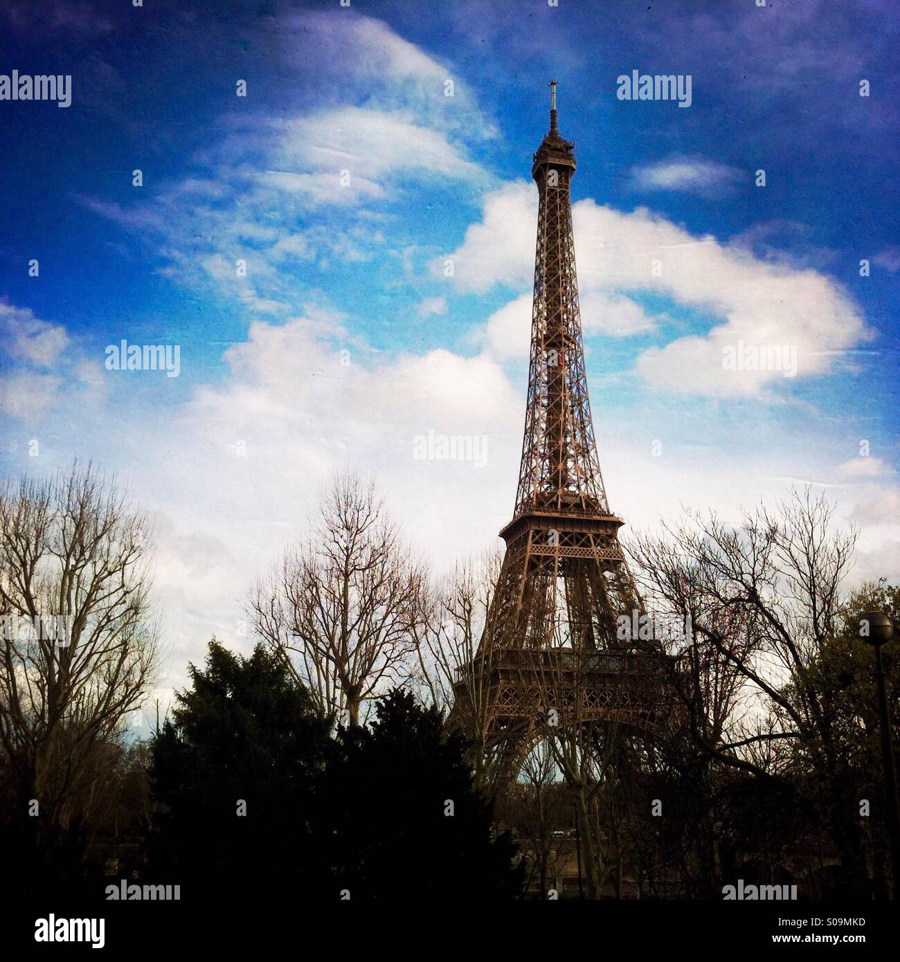 Der Eiffelturm und die Bäume. Paris, Frankreich, Europa. Stockfoto