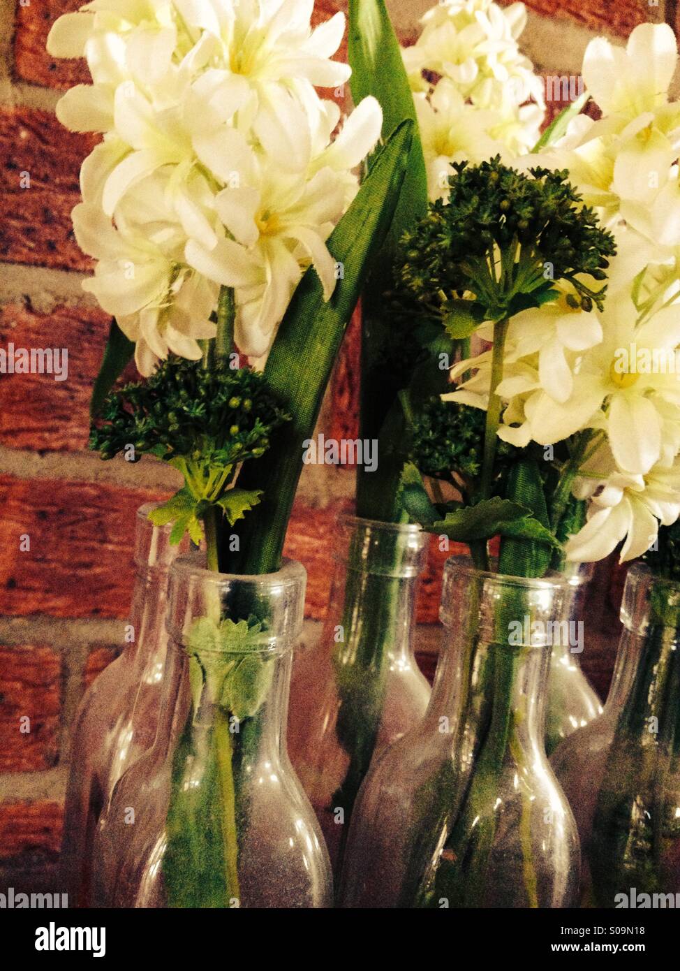 Lilien in Glasflaschen vor einer Wand Stockfoto